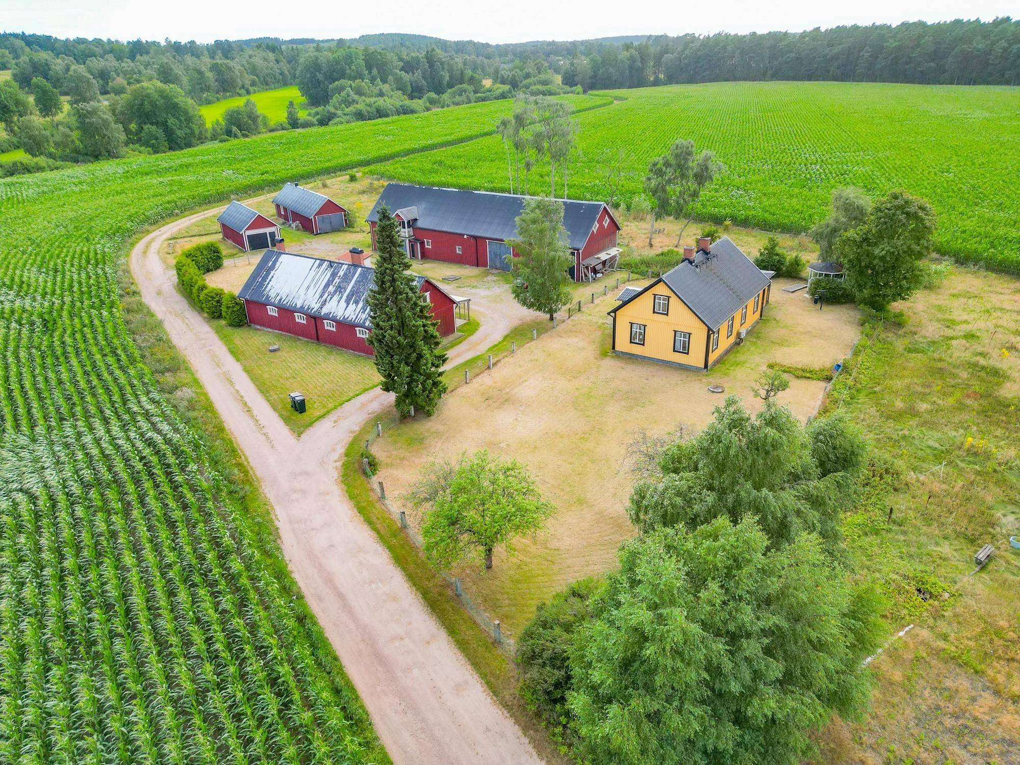 Halmstad, Halmstads kommun