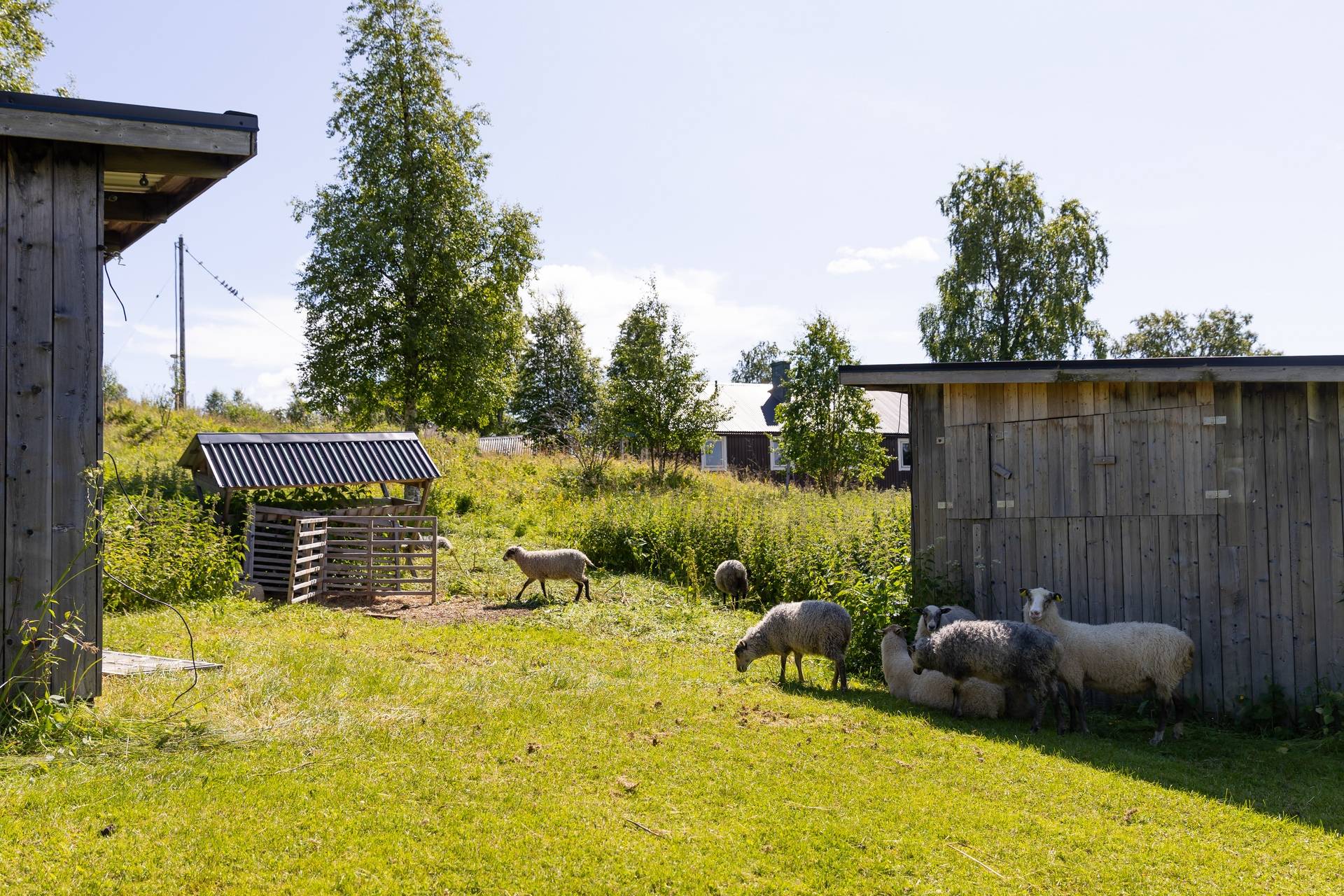 11 rum Villa på Kolåsens Fjällhotell 1 Järpen Åre kommun - bild 44