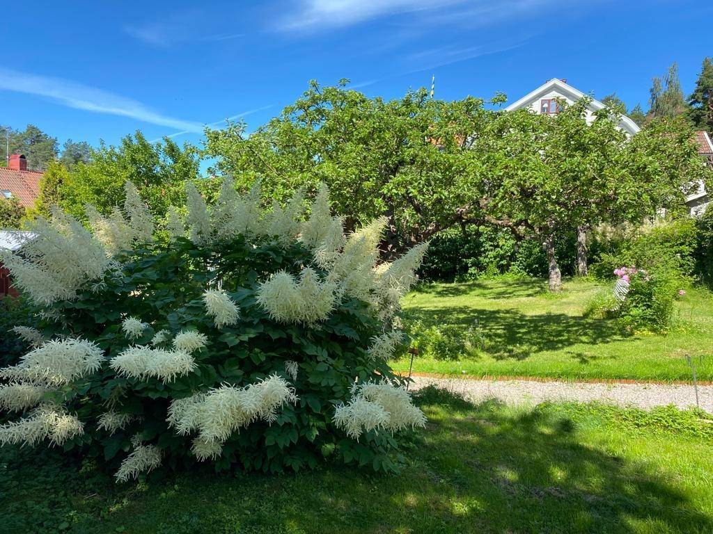 4 rum Villa på Strindbergsgatan 7B Östra Villastaden Nyköpings kommun - bild 58