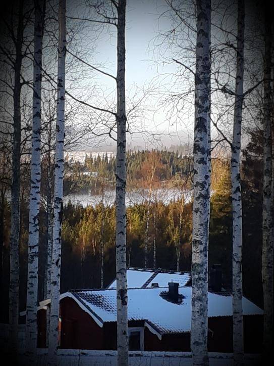 3 rum Fritidshus på Säfsbyn 412 SÄFSEN Ludvika kommun - bild 26