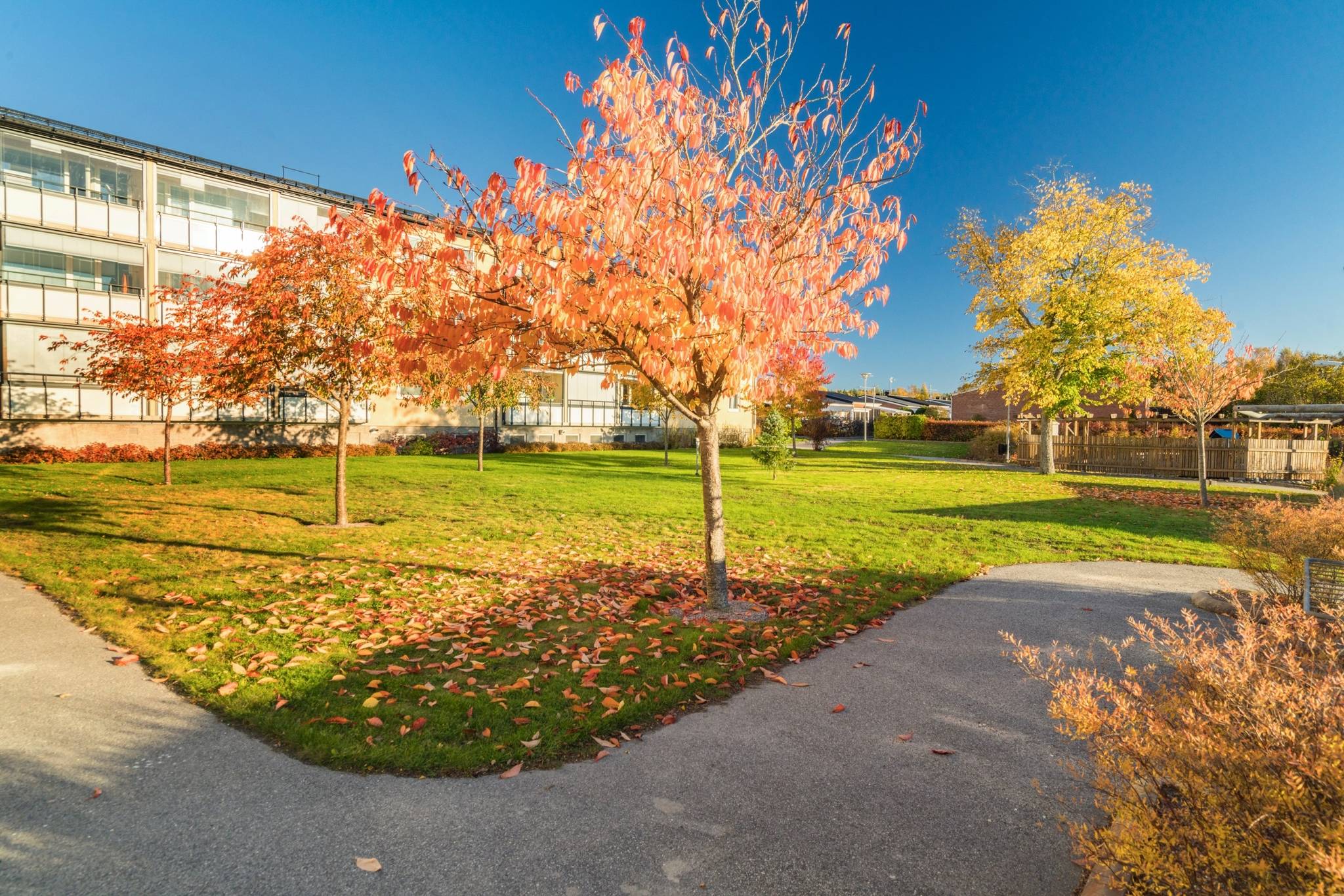 3 rum Lägenhet på Regeringsvägen 41 Oppeby Nyköpings kommun - bild 21