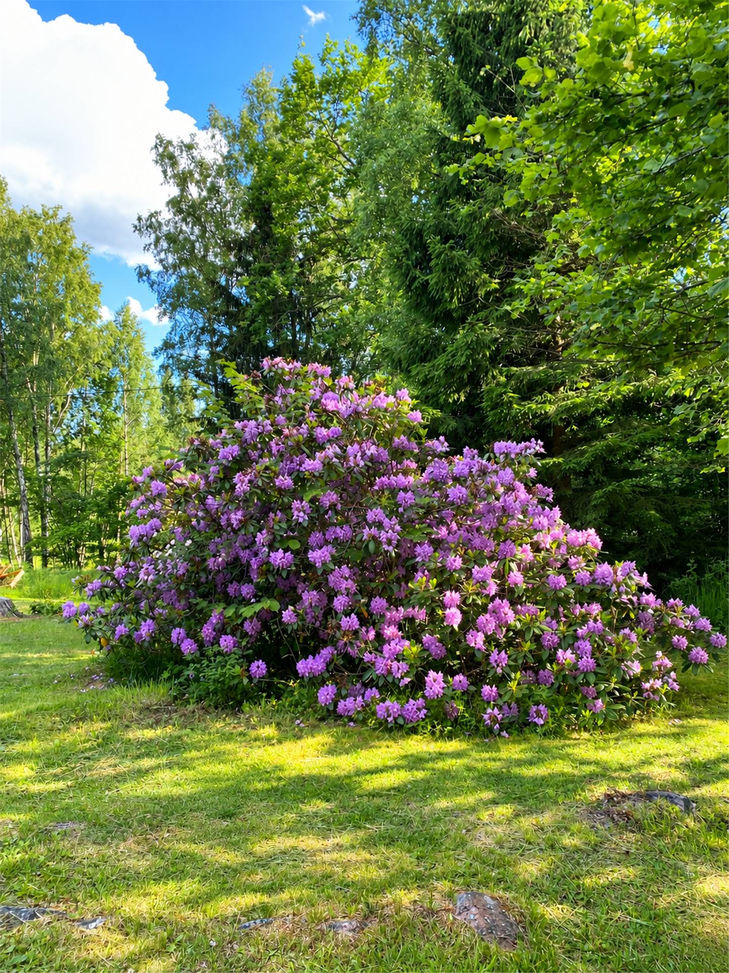 4 rum Fritidshus på Handfatet 11 Löparö - Handfatet Norrtälje kommun - bild 30