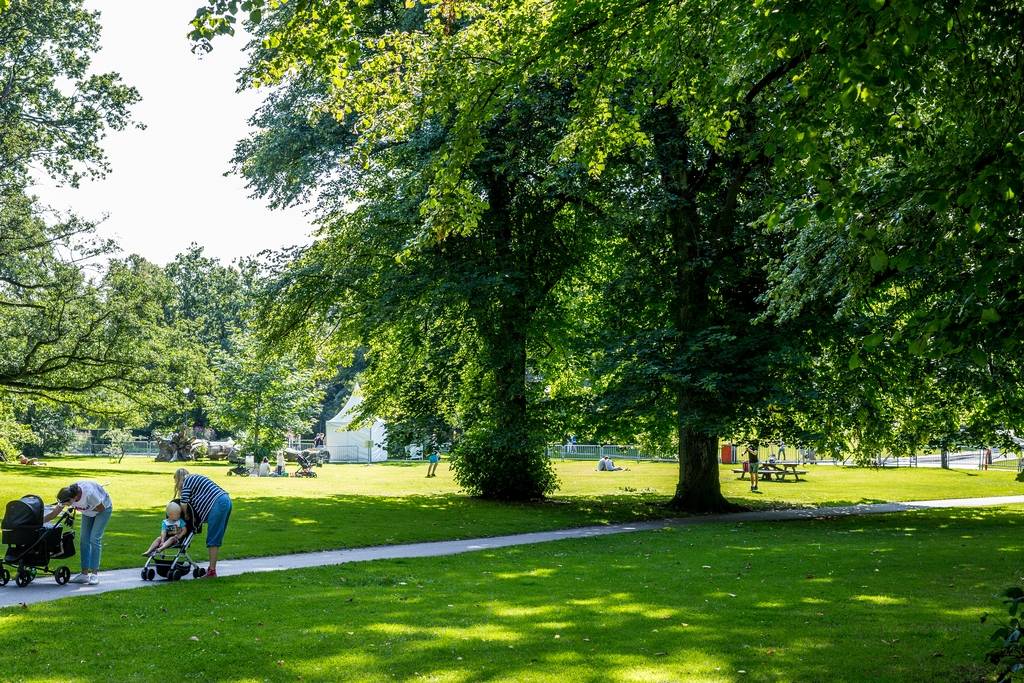 3 rum Lägenhet på Nordenskiöldsgatan 17 Linnéstaden Göteborgs kommun - bild 25