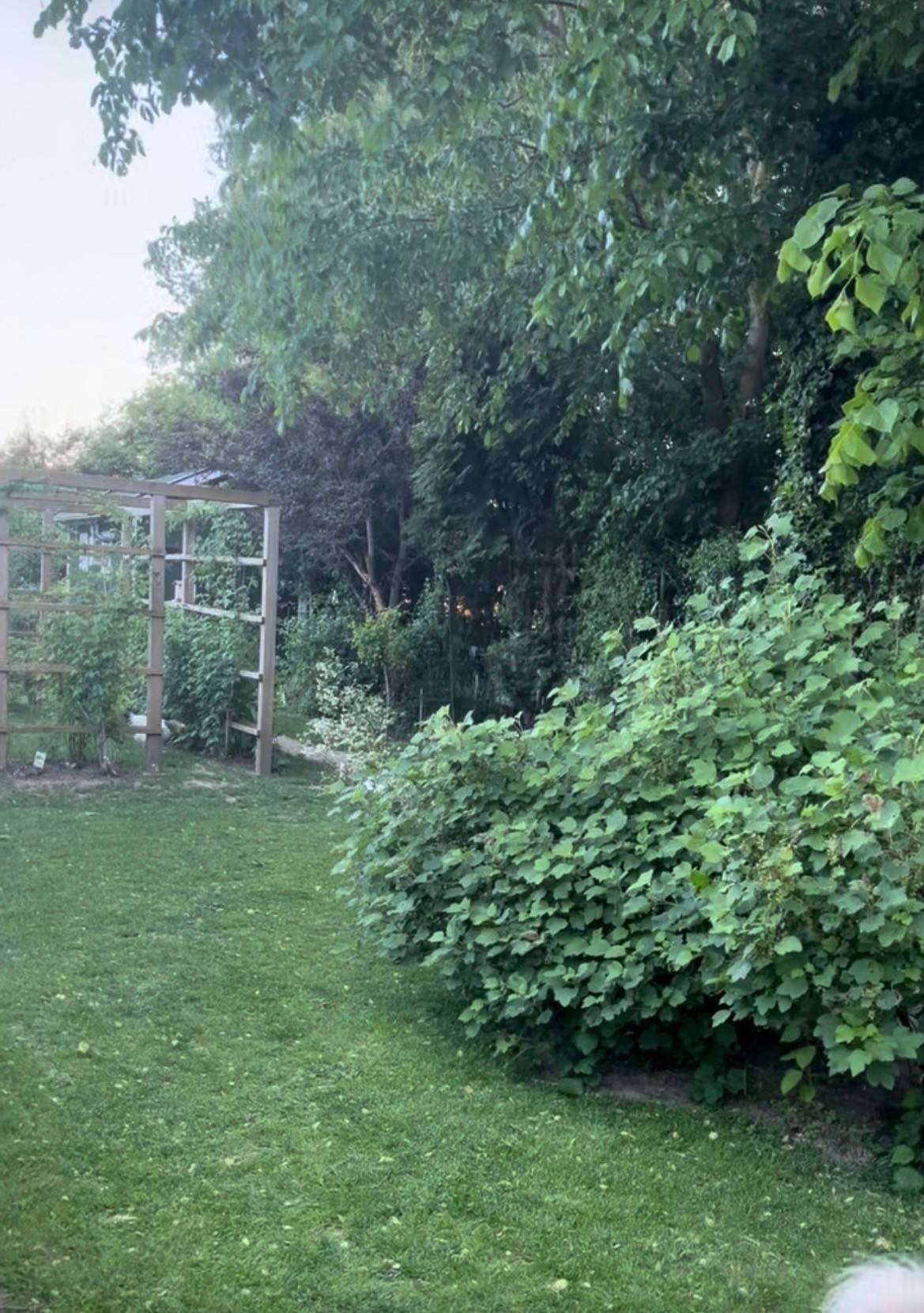 4 rum Villa på Knutsgatan 10 Åstorp Åstorps kommun - bild 10