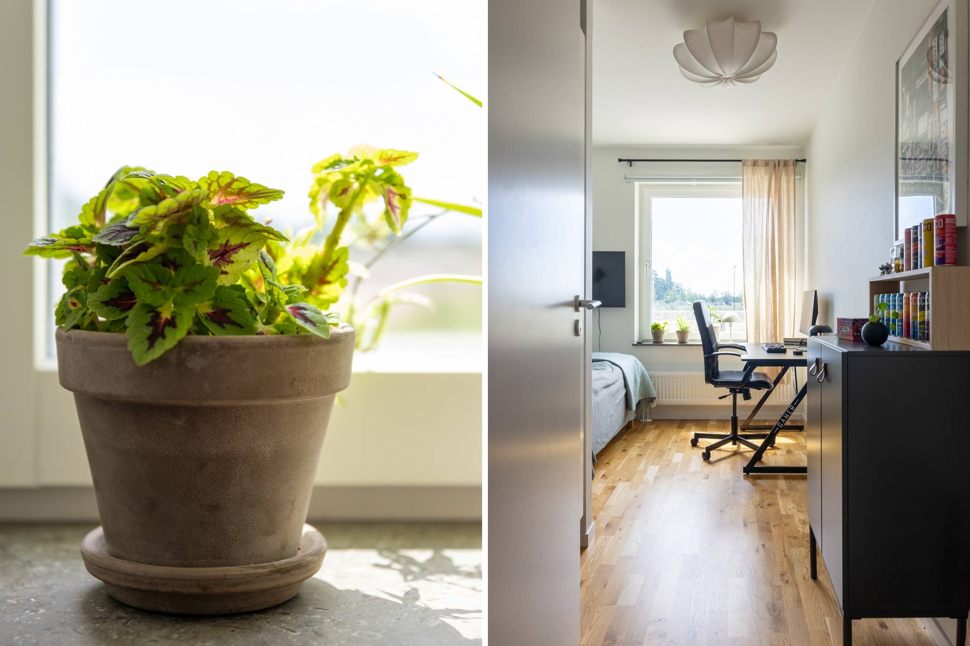 3 rum Lägenhet på Stallgränd 7 Elinelund / Elinegård Malmö kommun - bild 19