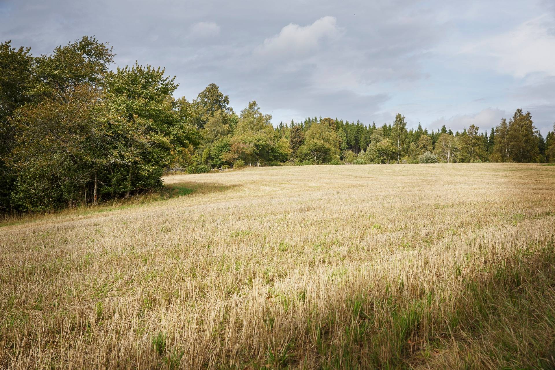 Gård/skog på Stora Äskås Nässjö kommun - bild 36