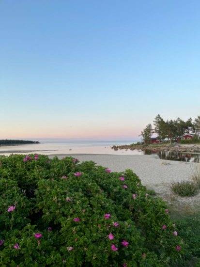 2 rum Fritidshus på Norrfjärden Sjöbod Norrfjärden Nordanstigs kommun - bild 23