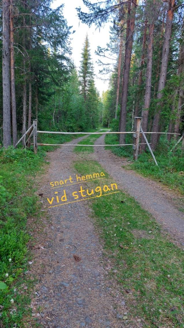 2 rum Fritidshus på Holmviken 106 Östersunds kommun - bild 43