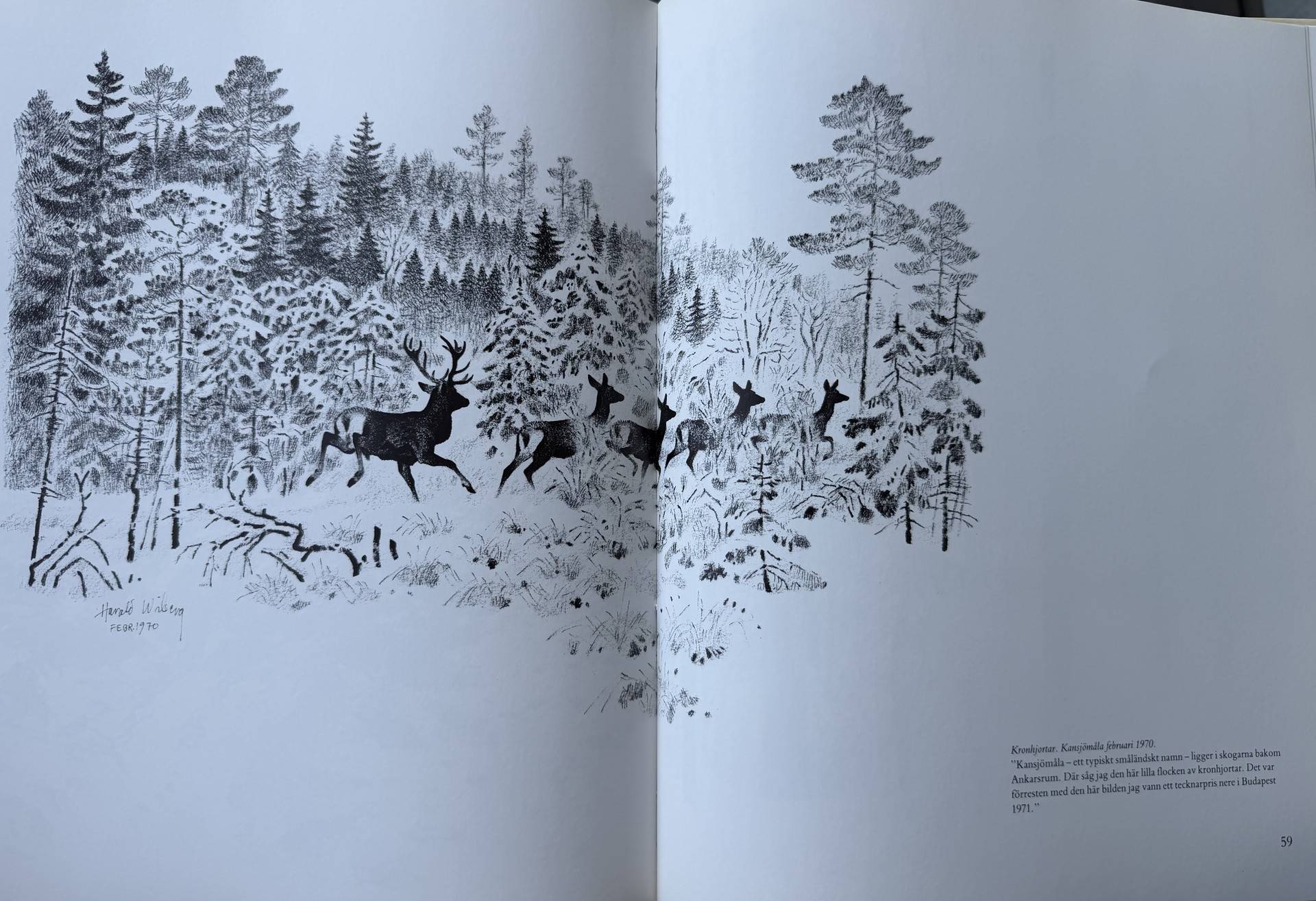 4 rum Gård/skog på Stormandebo Koltorp Västervik/Vimmerby Västerviks kommun - bild 65