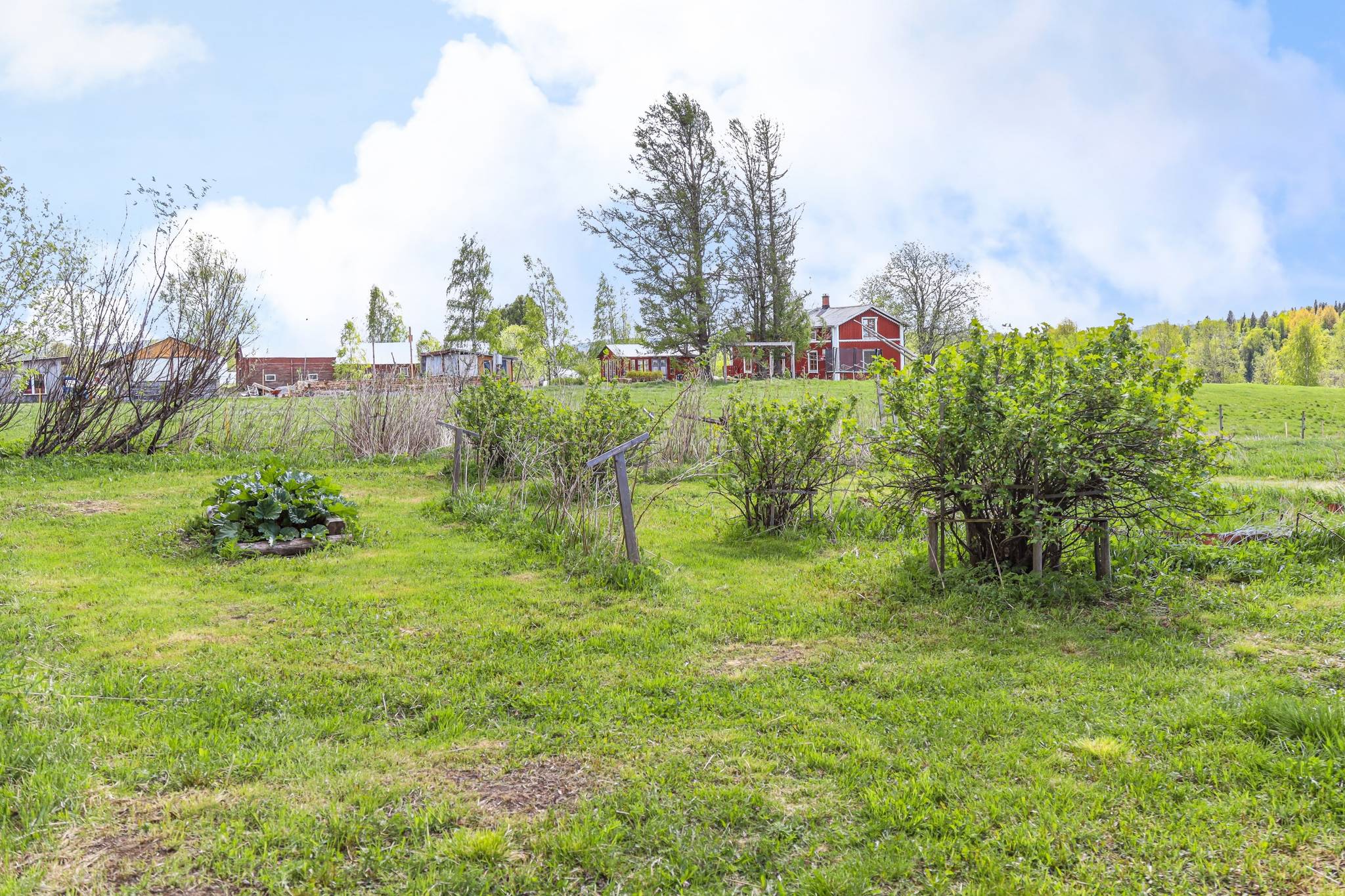 6 rum Gård/skog på Överrödå 70 Överrödå Vindelns kommun - bild 55