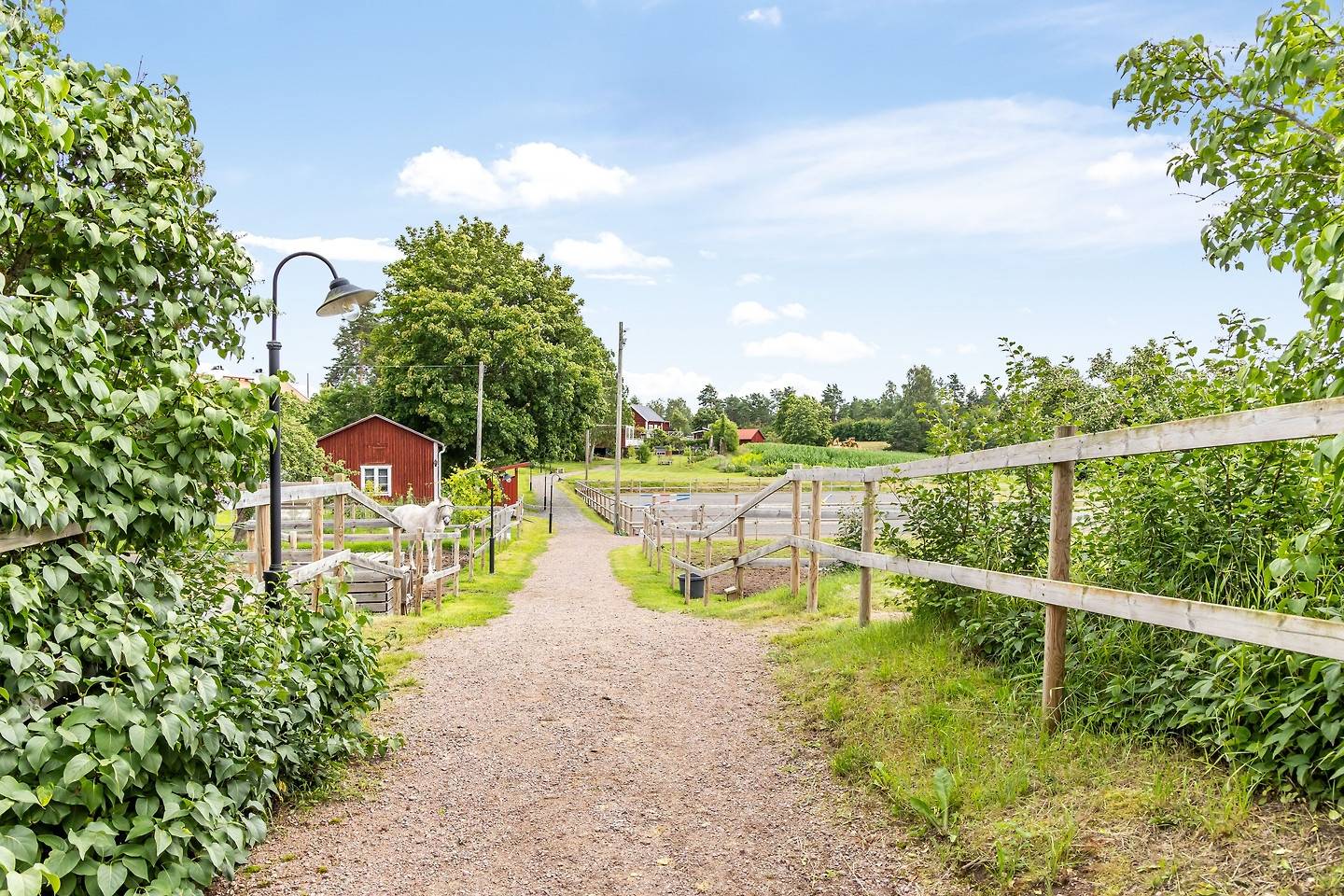 6 rum Gård utan jordbruk på Skärstad 141 Södra Vi Vimmerby kommun - bild 65