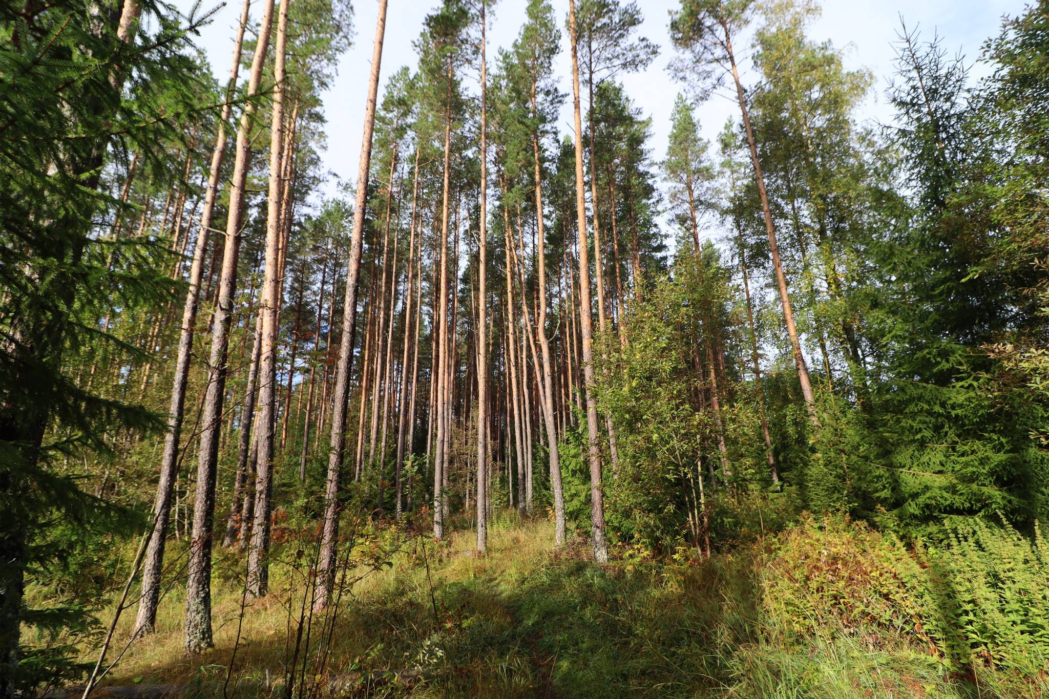 2 rum gård/skog på Haglundavägen 17 Gottröra - Haglunda, Norrtälje kommun - bild 2