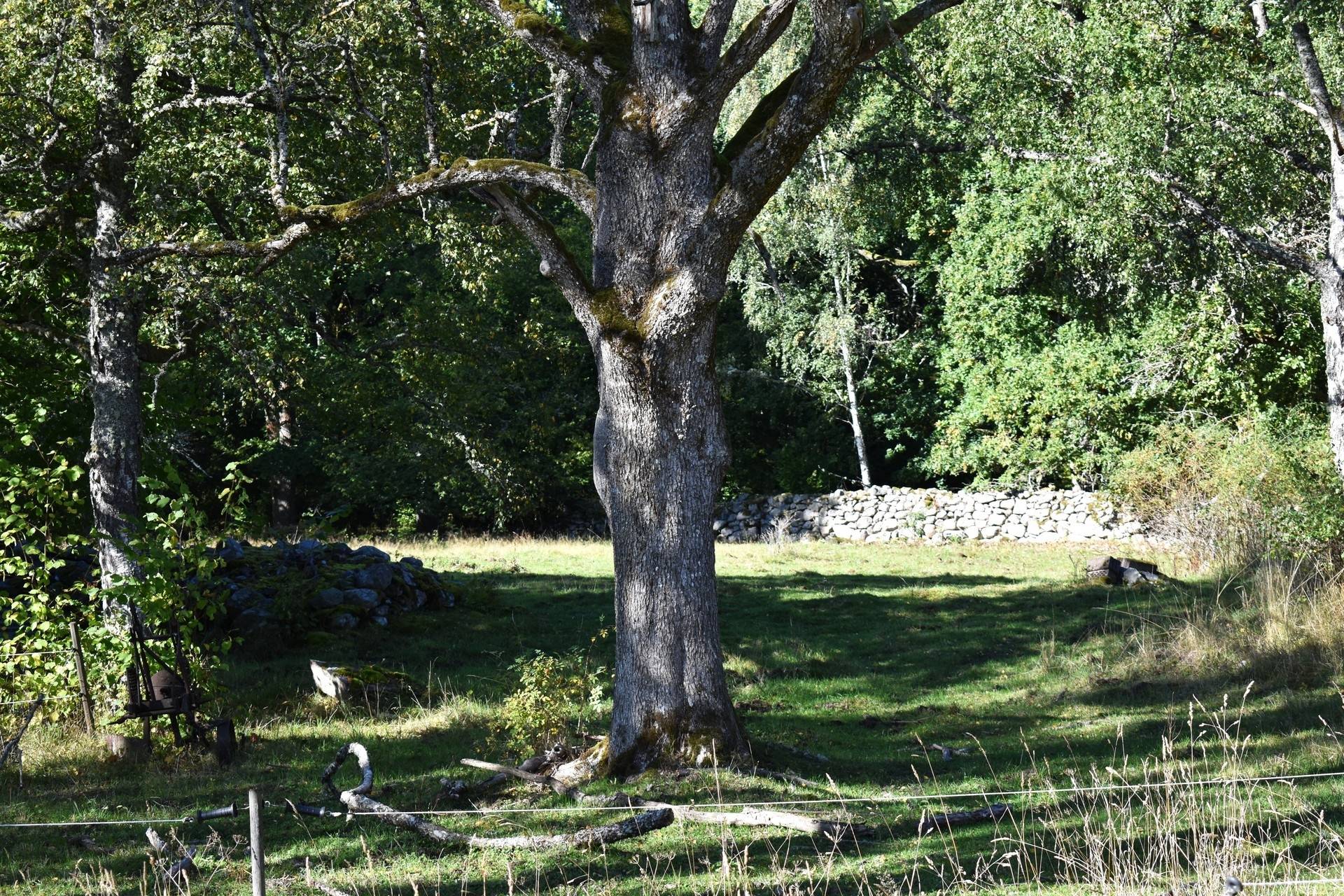 Gård med jordbruk på Brixslät 122 Brixslät Nybro kommun - bild 9