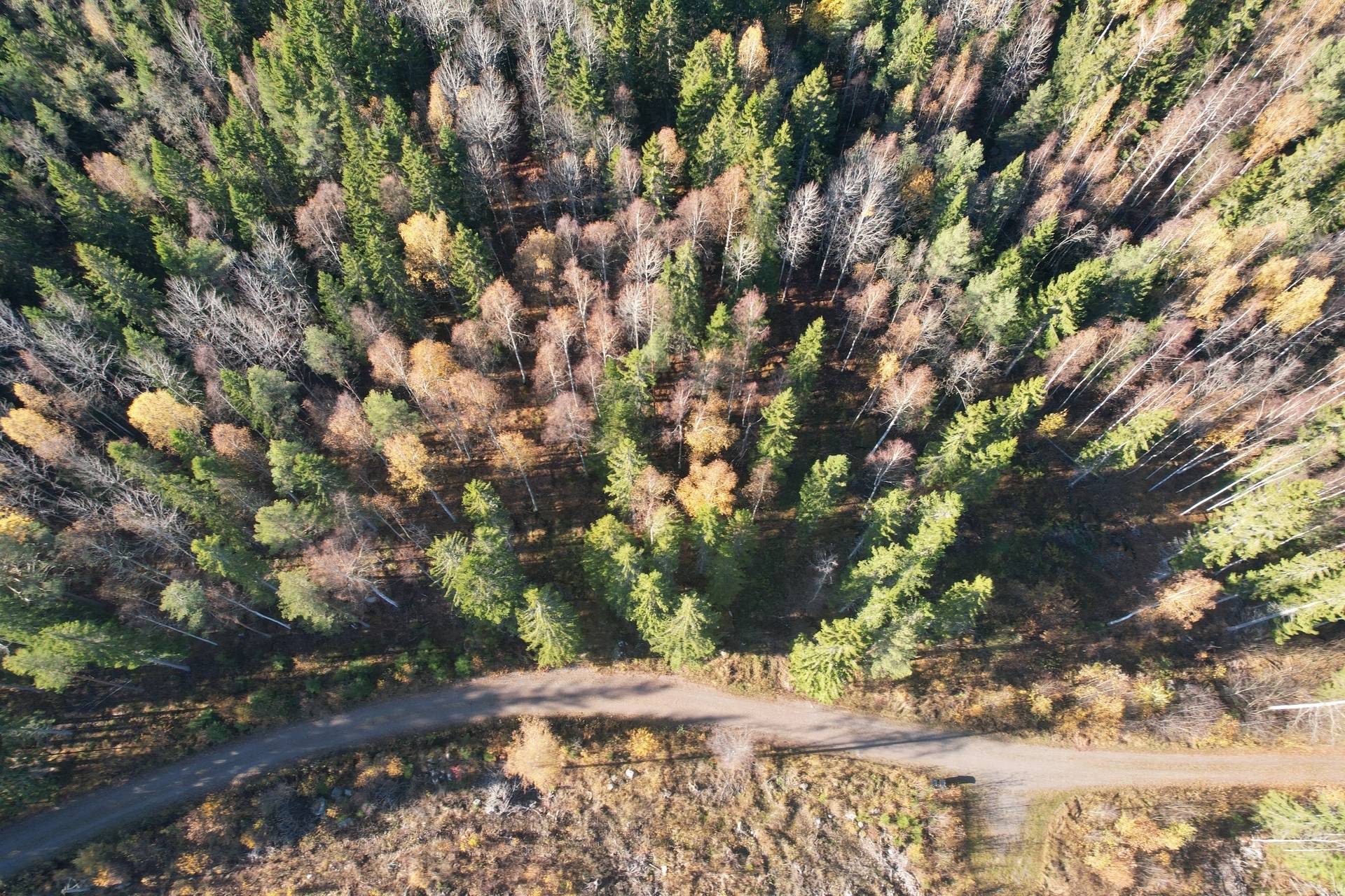 Gård med skogsbruk på Utanmyra Falu kommun - bild 25