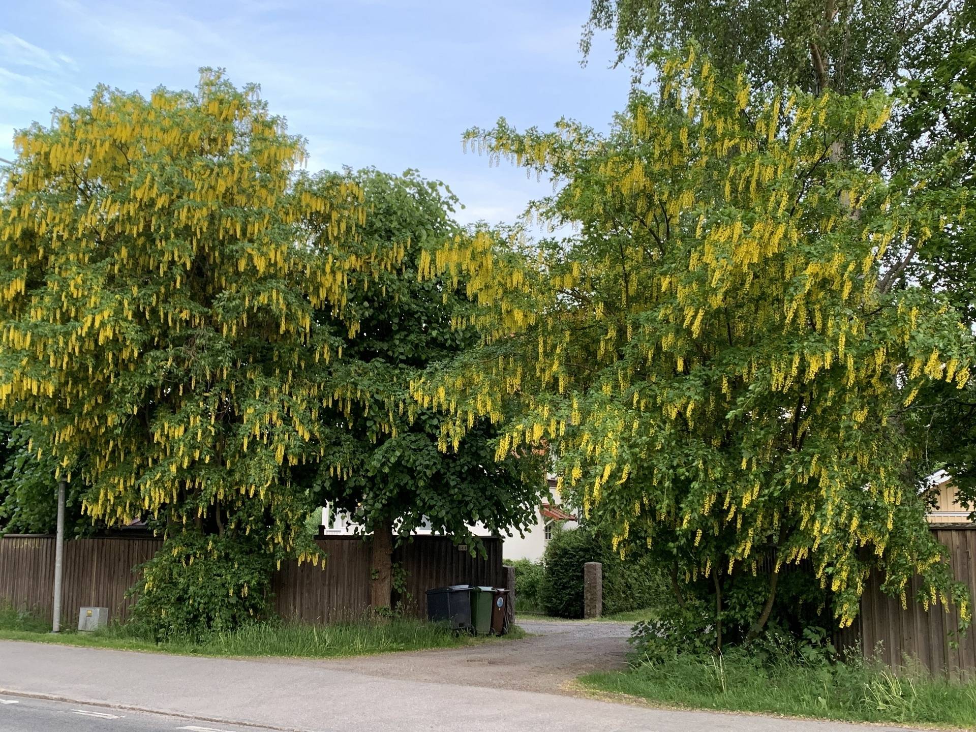 9 rum Villa på Södra Kungsvägen 144 Kappsta Lidingö kommun - bild 70