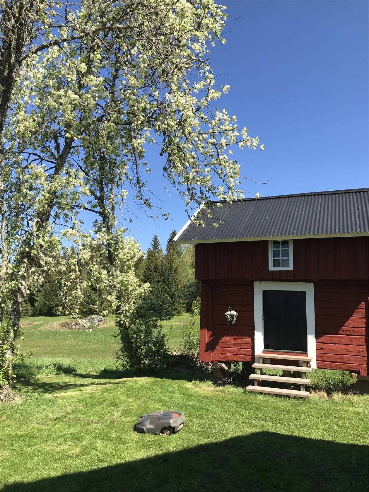 4 rum gård utan jordbruk på Ulvenäs Granbacken 1 Töcksfors, Årjängs kommun - bild 3