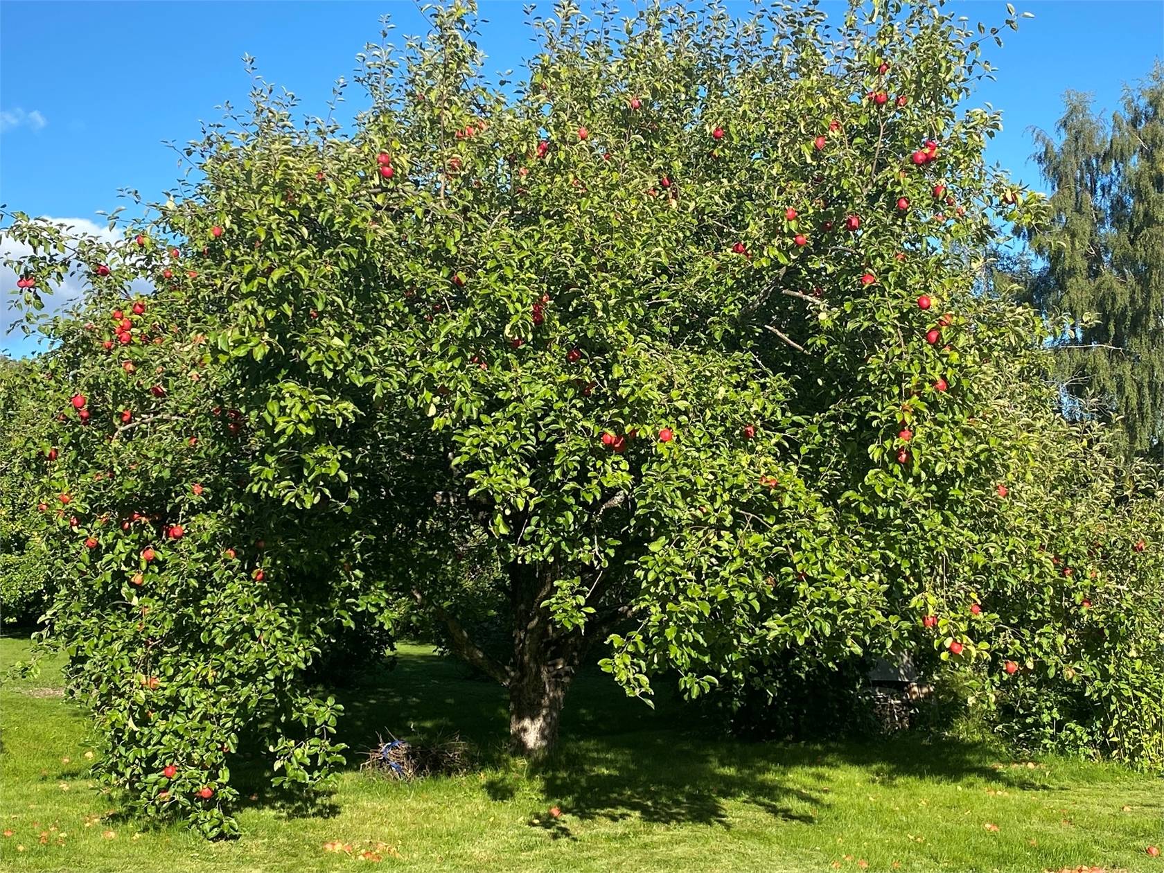 8 rum Villa på Ryttarvägen 3 Österro Sundsvalls kommun - bild 57