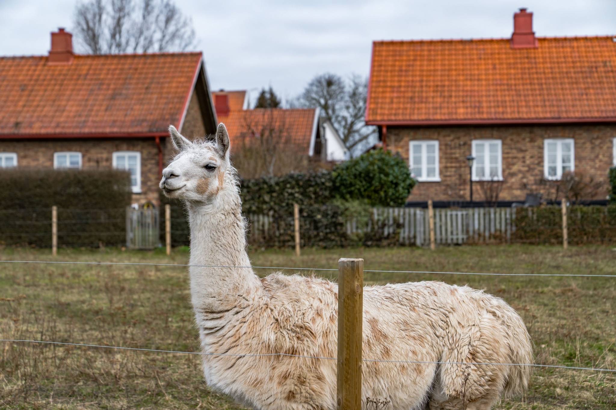 4 rum Radhus på Glumslövsvägen 40D Brohusen Landskrona kommun - bild 21
