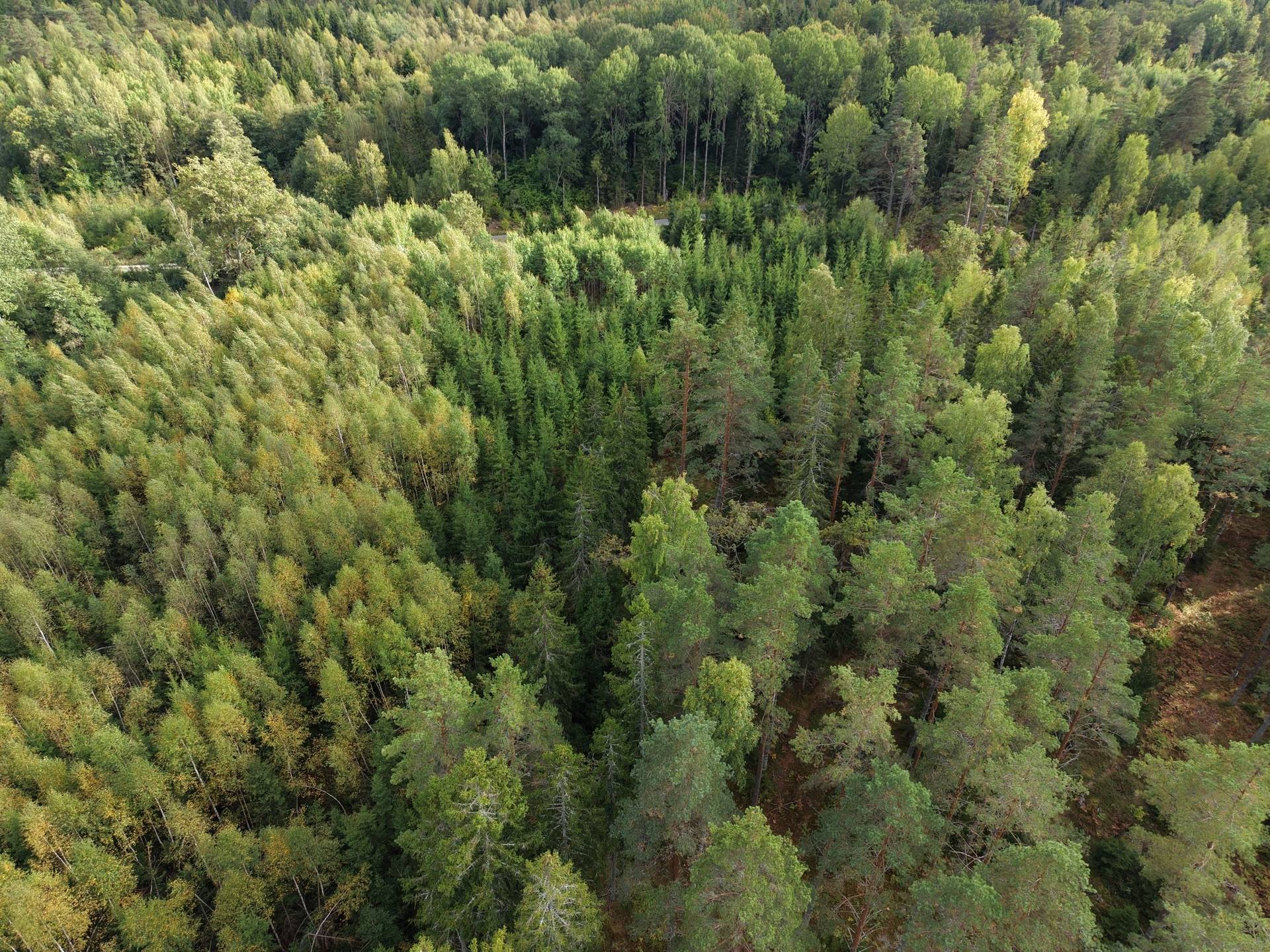 Gård med skogsbruk på NORRTÄLJE SÖDERMARJUM 2:2 Norrtälje kommun - bild 10
