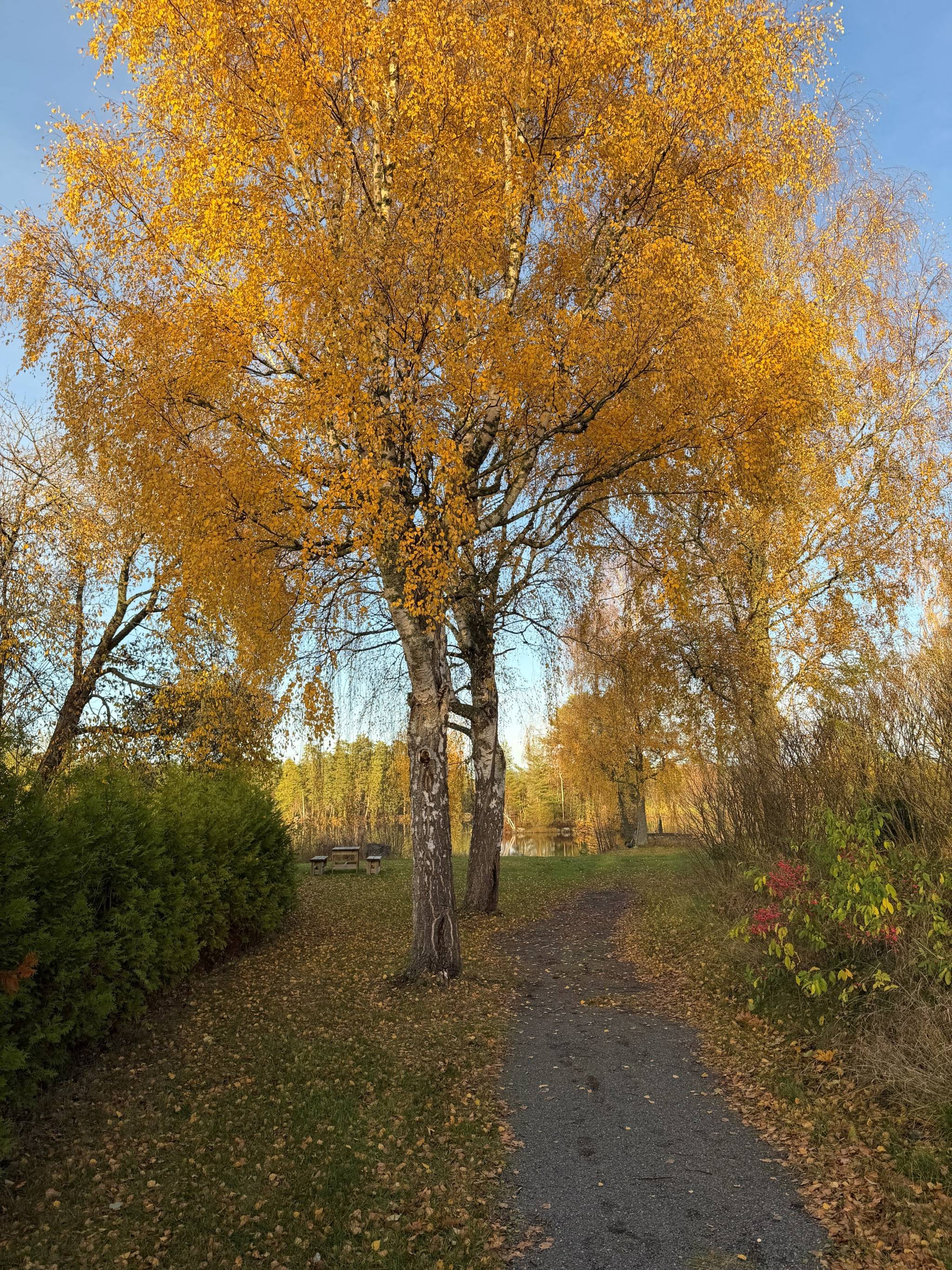 5 rum Villa på Stationsvägen 19 Klavreström Uppvidinge kommun - bild 64