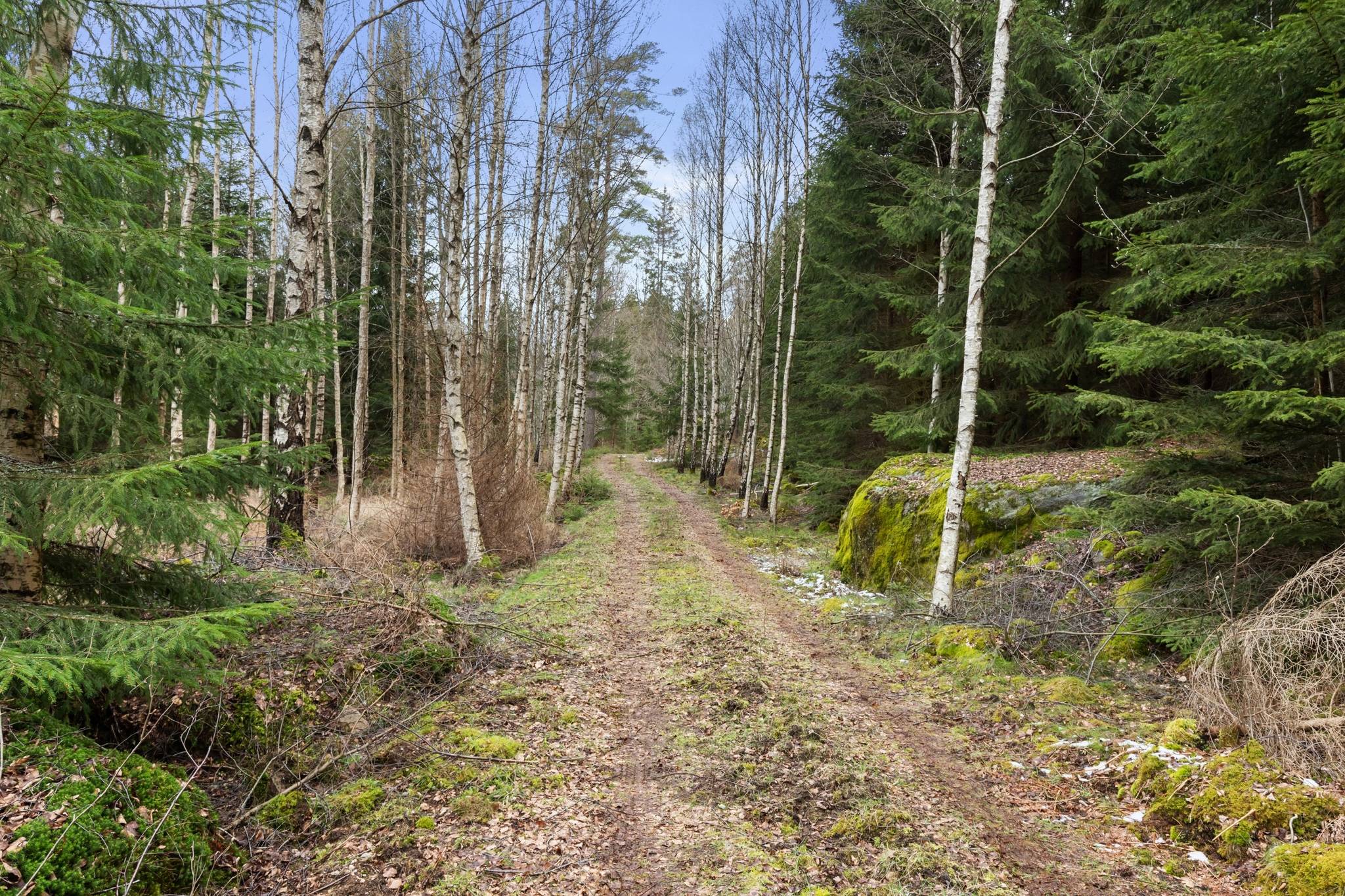 6 rum Gård med jordbruk på Yasjö 117 Rödeby Karlskrona kommun - bild 74