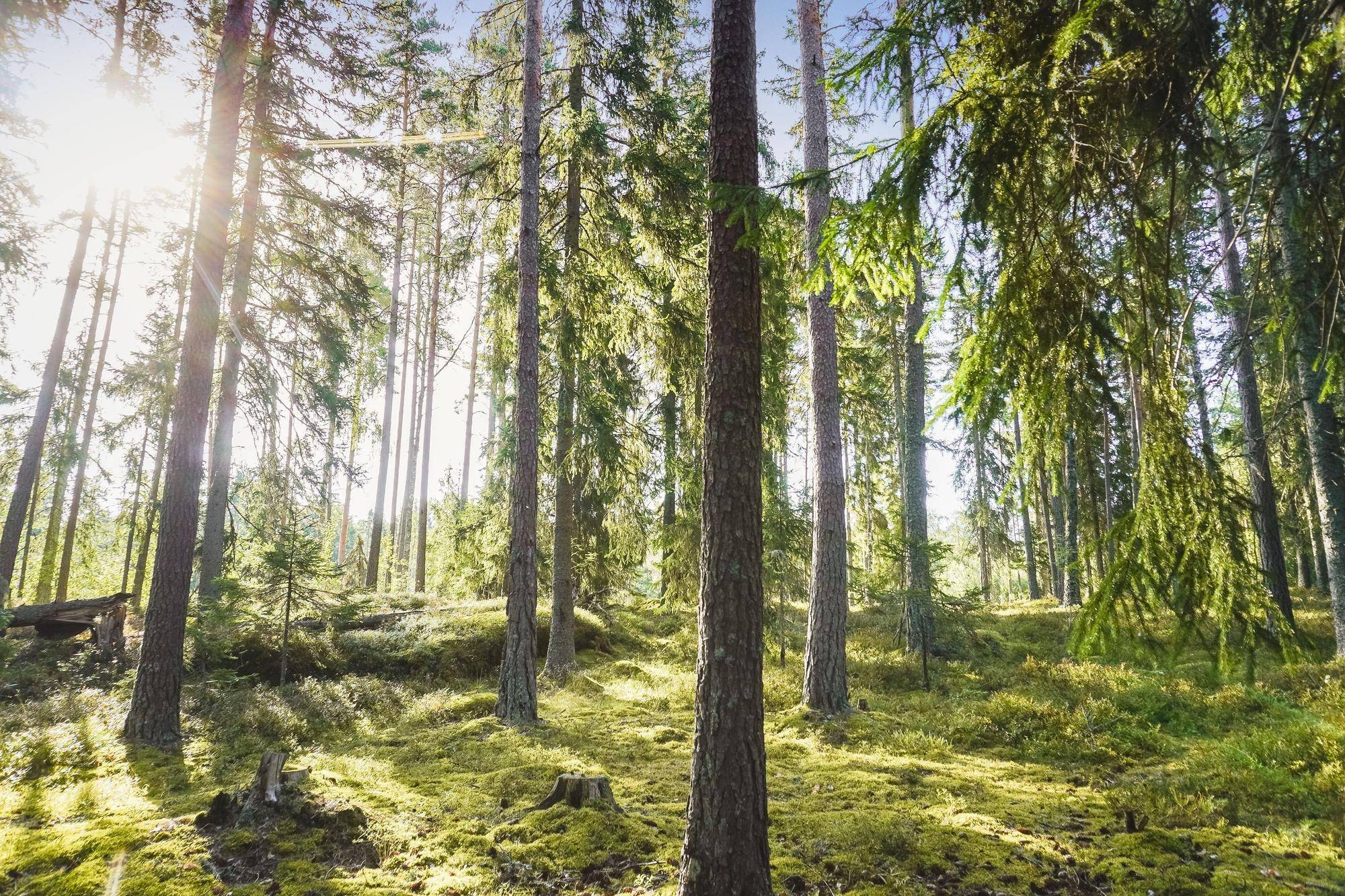 Järlåsa, Uppsala kommun