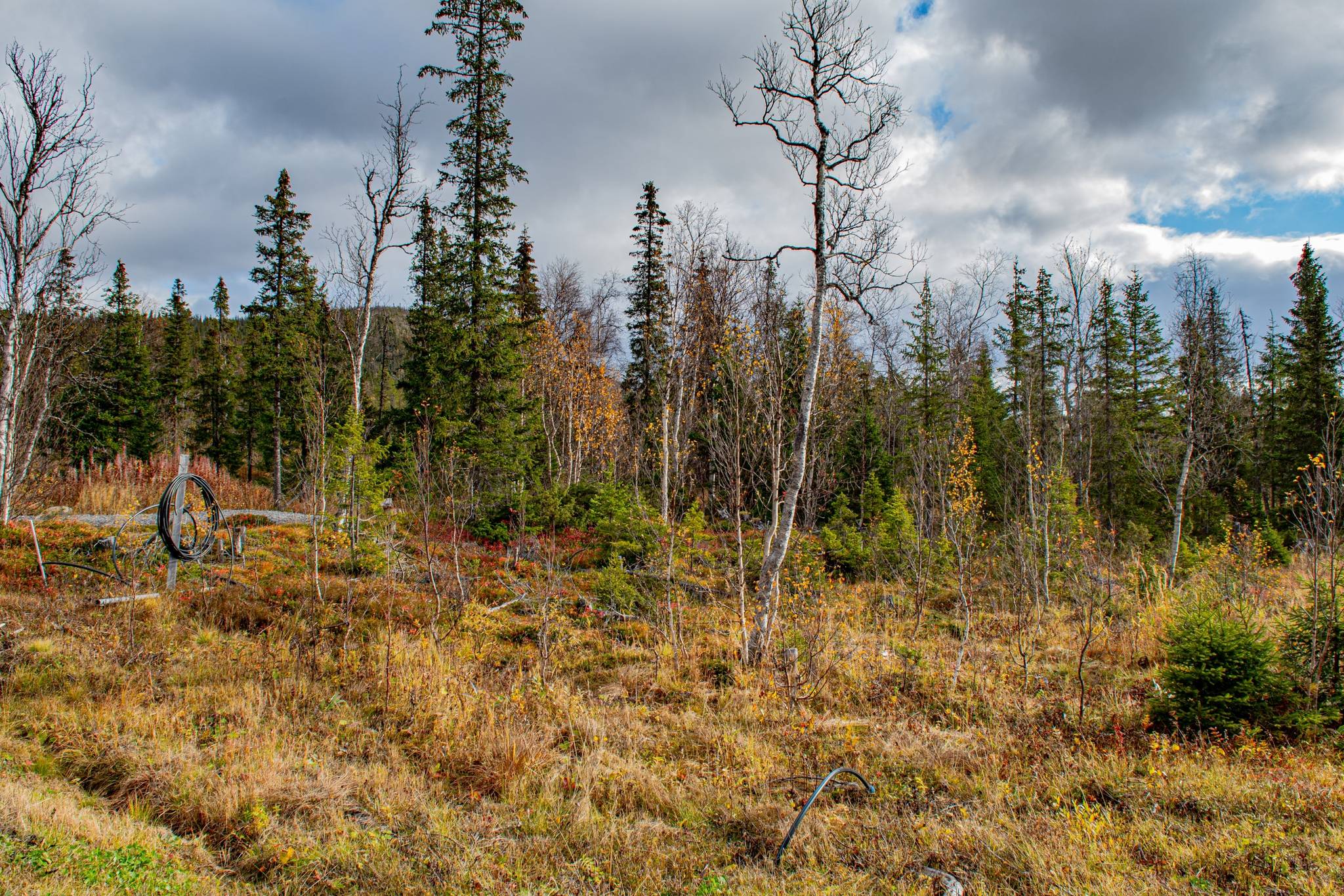 Tomt på Sucksdorfsvägen 35 Kittelfjäll Vilhelmina kommun - bild 6