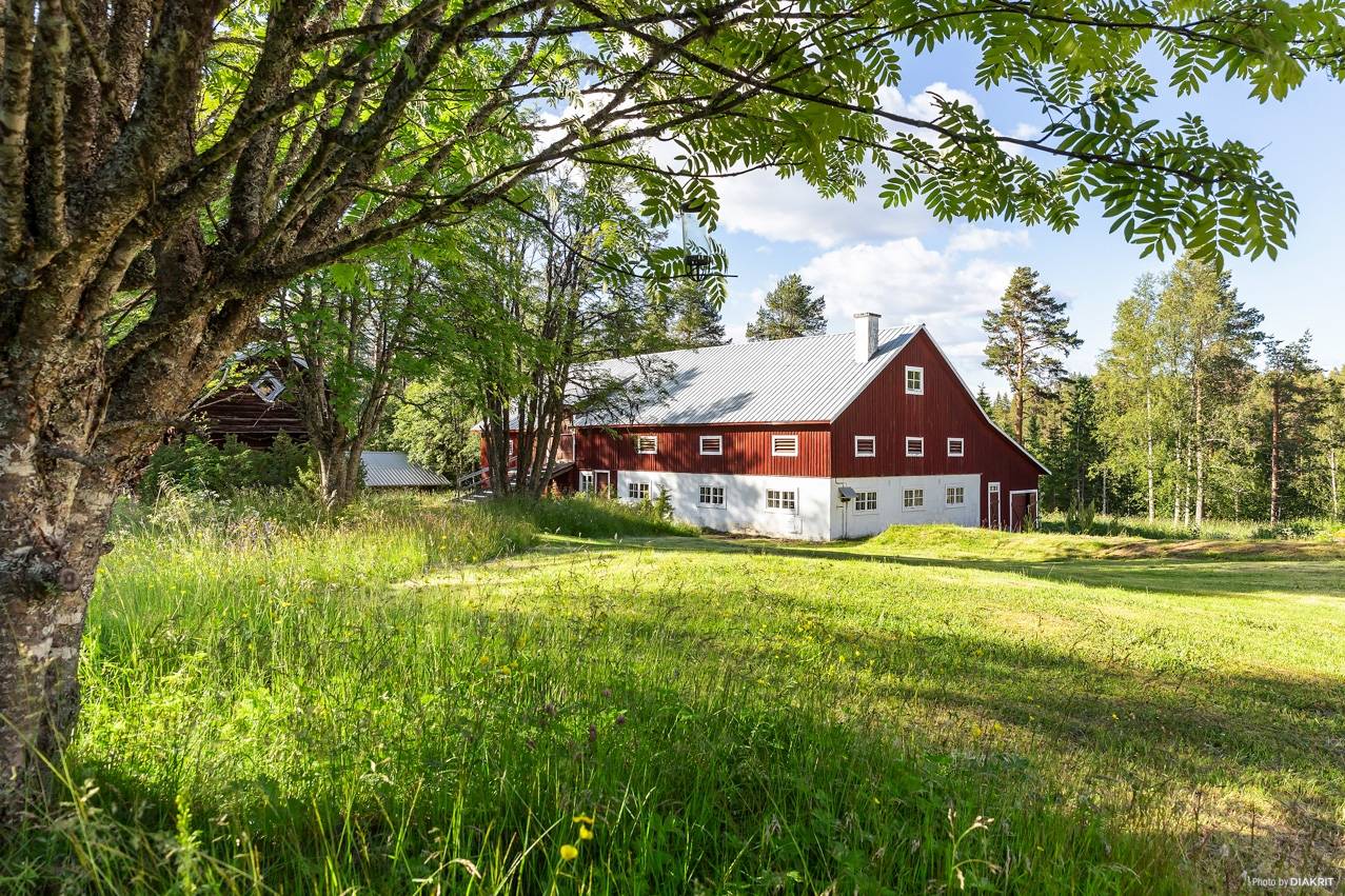 5 rum Gård/skog på Terrsjö 213 Terrsjö Sollefteå kommun - bild 2