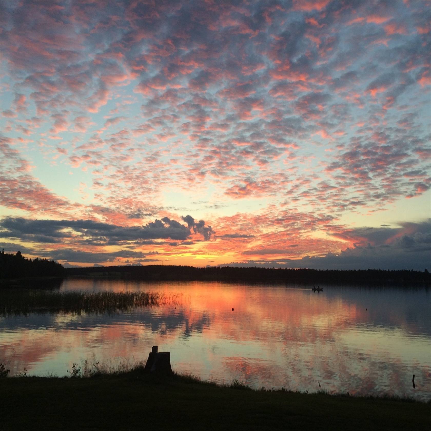 5 rum Vinterbonat fritidshus på Falkträsket 446 Falkträsket Skellefteå kommun - bild 35