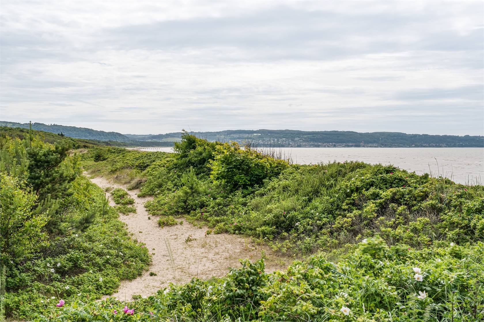 3 rum Lägenhet på Krikonslingan 17A, lgh I3:3 Hemmeslöv Båstads kommun - bild 22