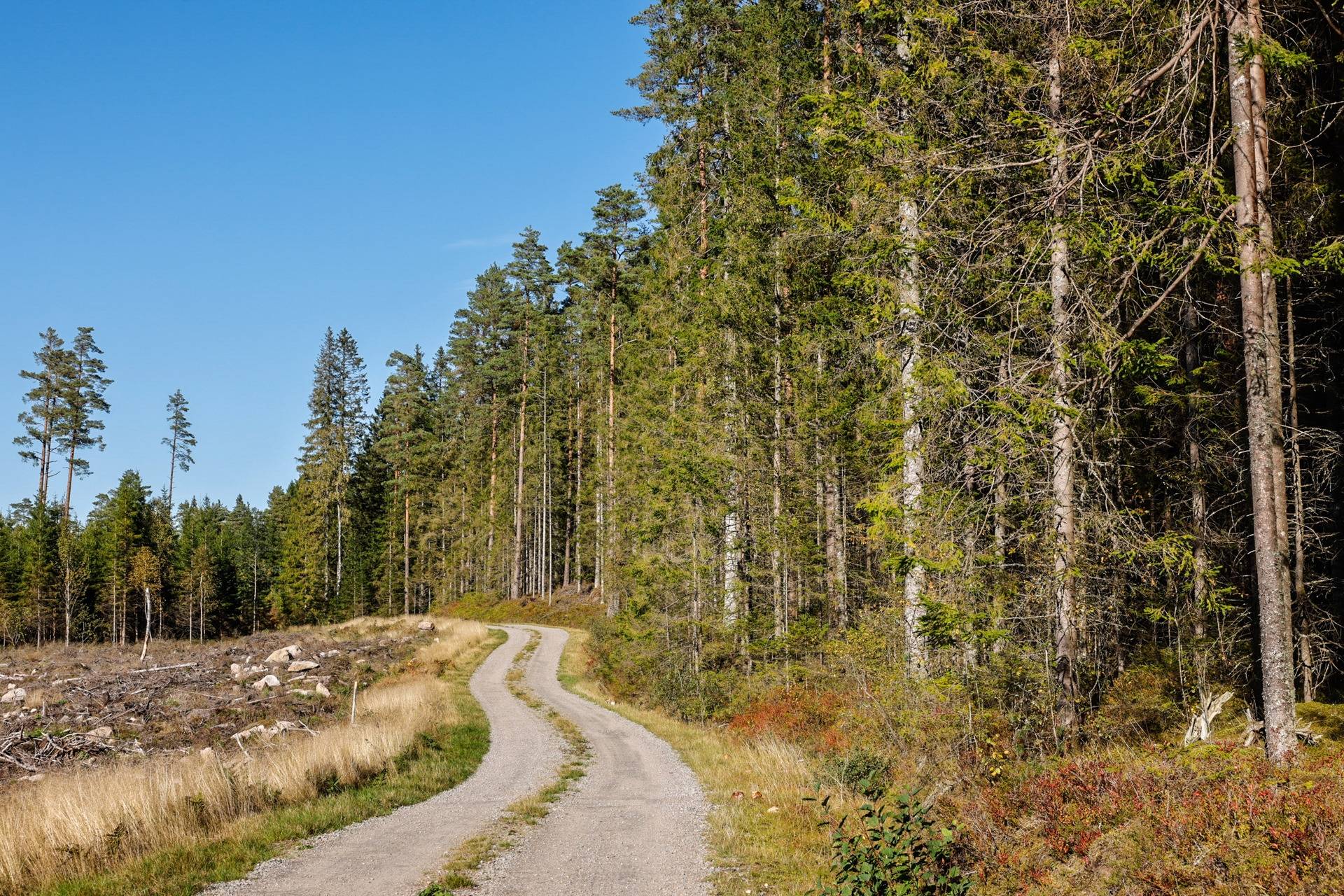 Gård/skog på SVENLJUNGA UGGLEBO 2:3 Örsås Svenljunga kommun - bild 27