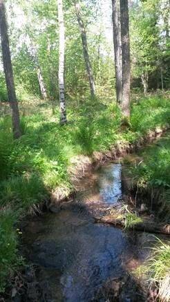 3 rum Fritidsboende på Fjällåkra 24 Broddetorp Falköpings kommun - bild 31