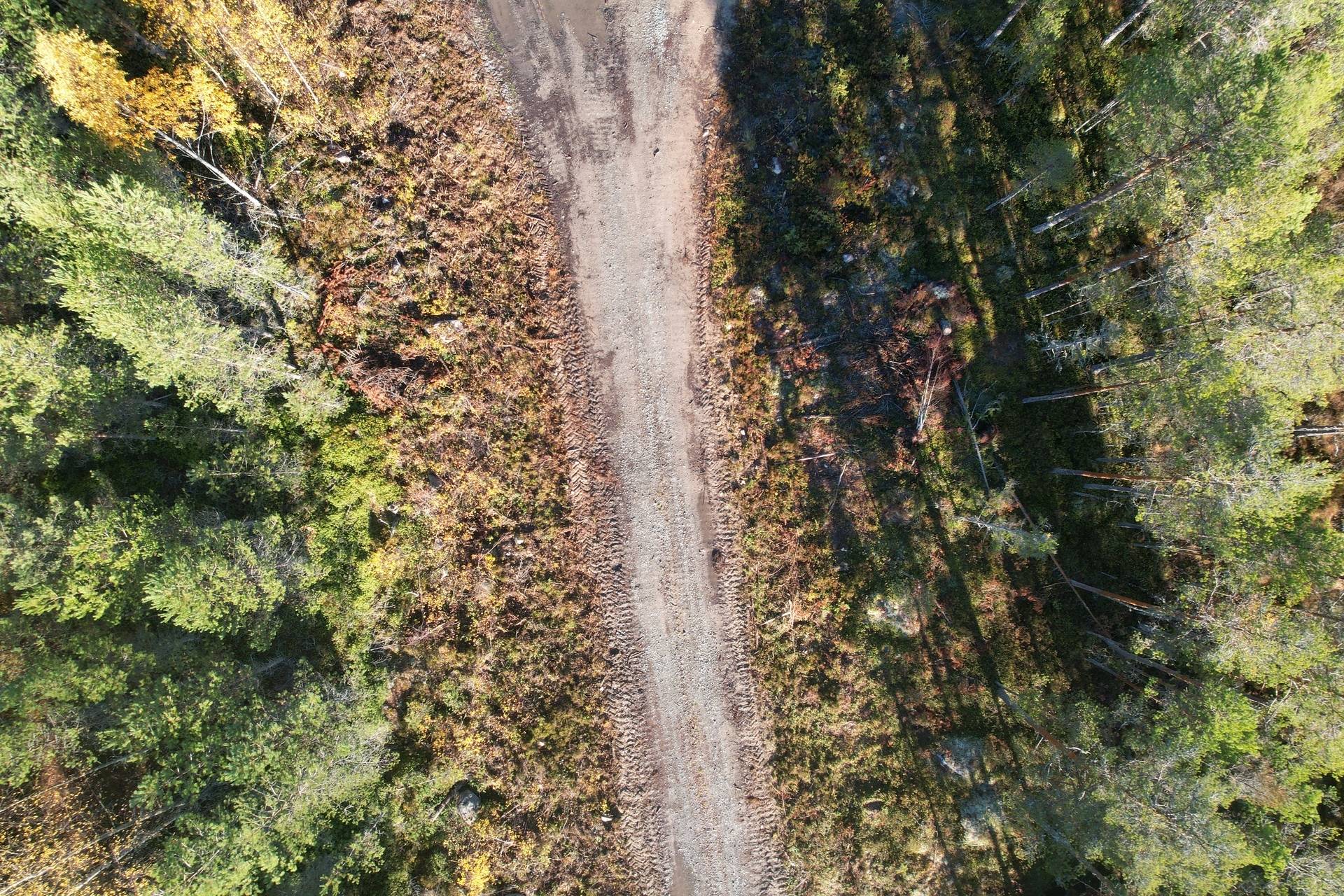 Gård med skogsbruk på Utanmyra Falu kommun - bild 12