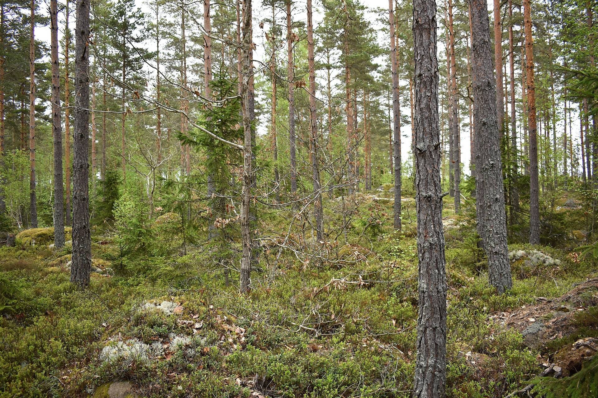 Påryd, Kalmar kommun