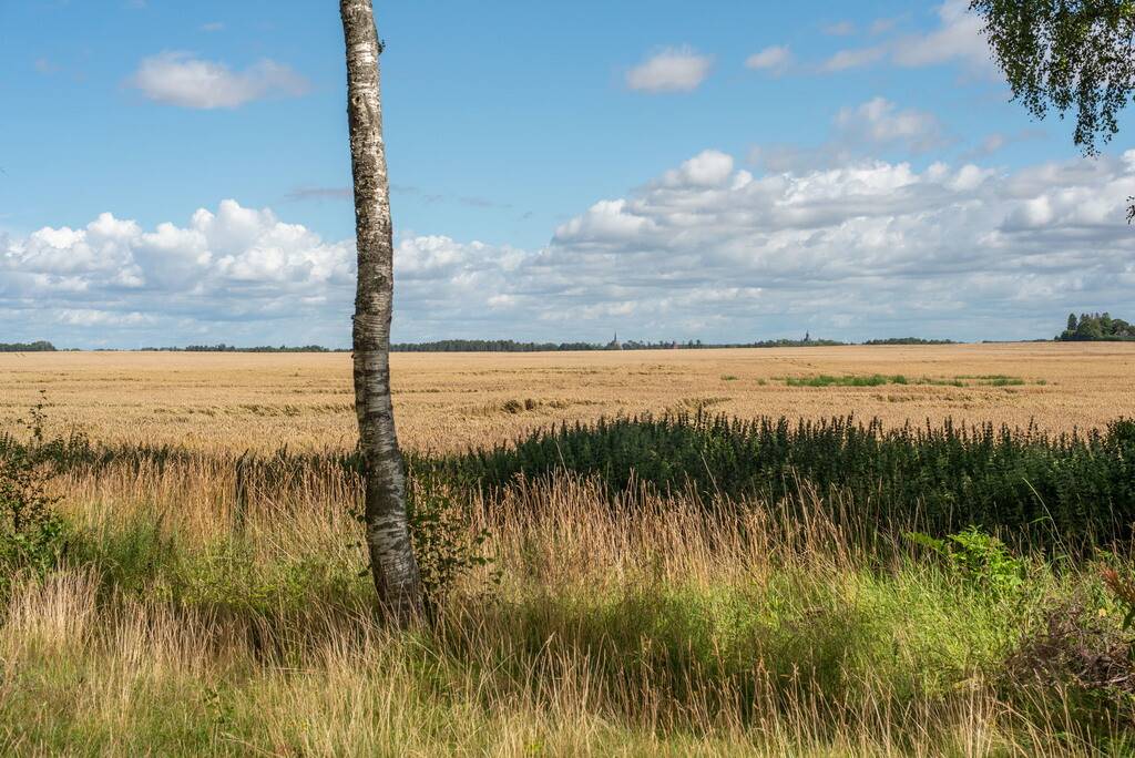6 rum Fritidshus på Strandväg 33 Järnevid vid Vättern Vadstena kommun - bild 24