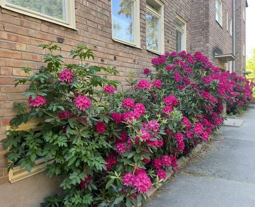 2 rum Lägenhet på Gustav III:s Väg 41A Abrahamsberg Stockholms kommun - bild 23