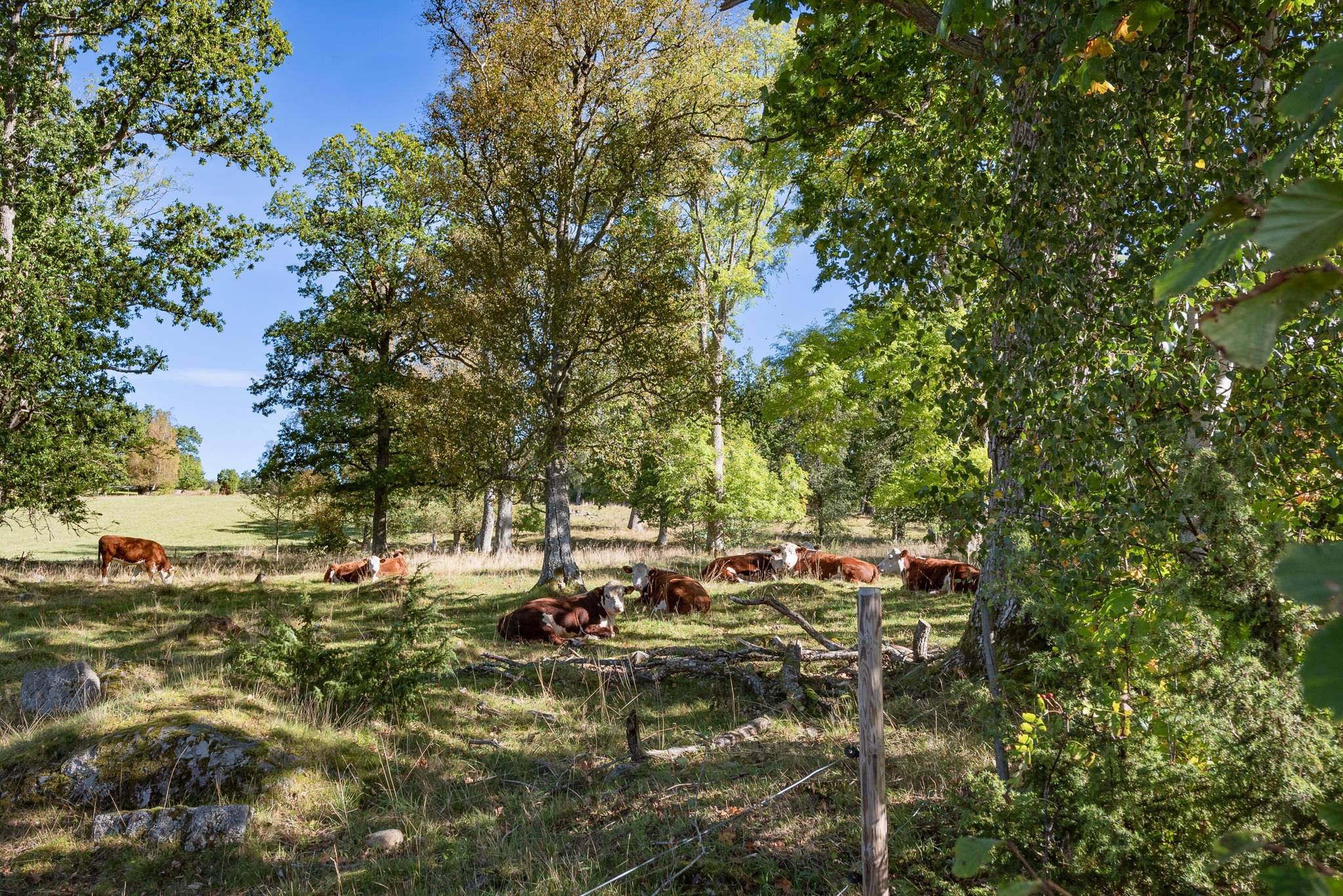 2 rum Villa på Västra Sjöåkra 11 Bottnaryd Jönköpings kommun - bild 28