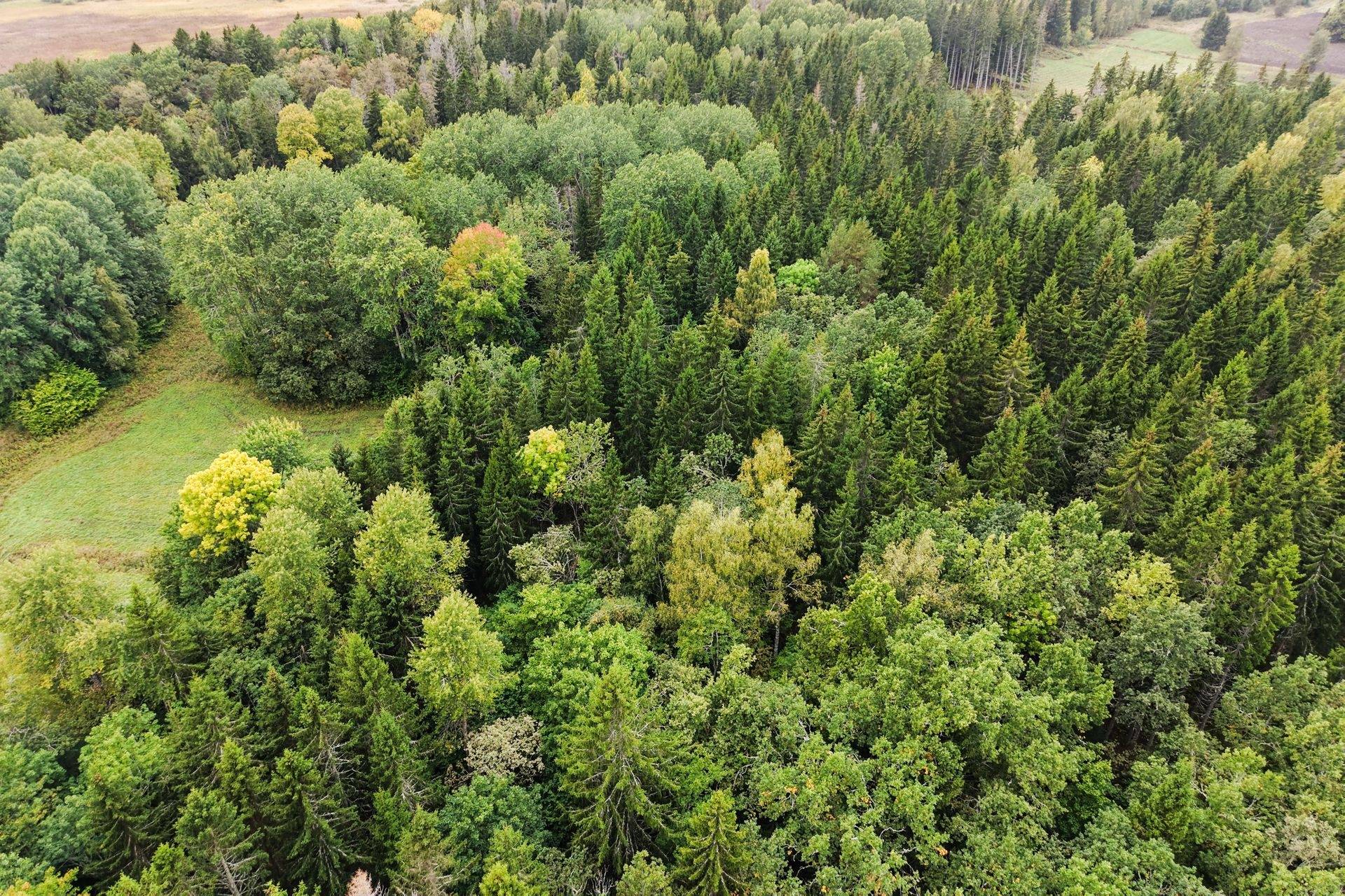 Edsbro, Norrtälje kommun