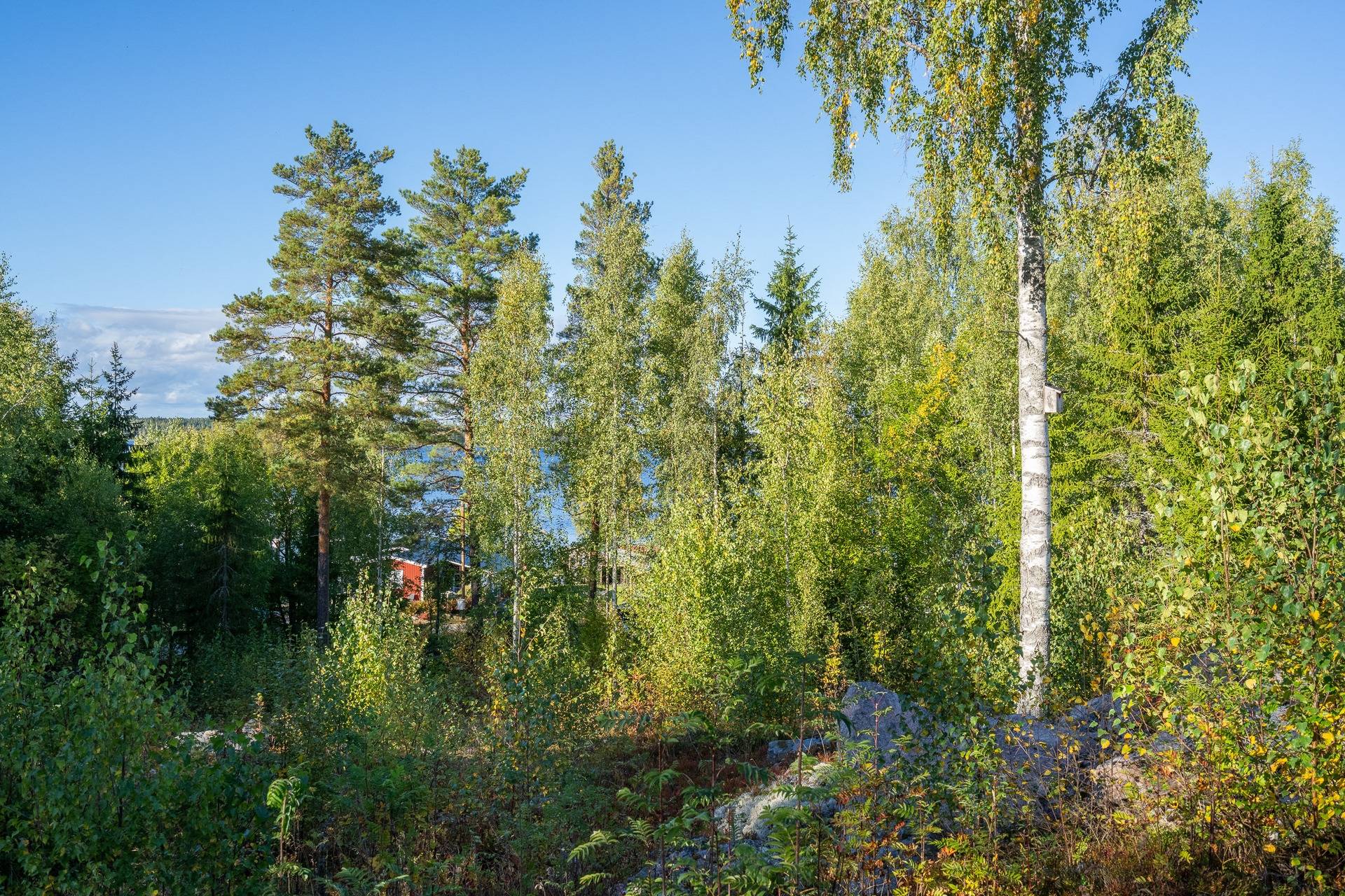 3.5 rum Villa på Fagervik 1 Hamrångefjärden Gävle kommun - bild 4