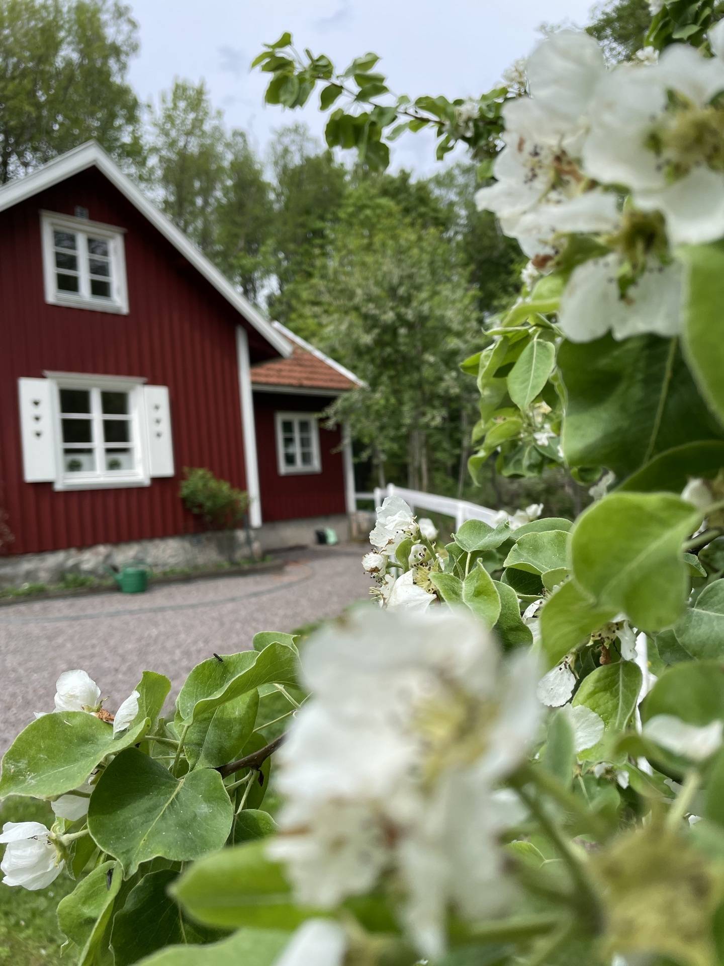 4 rum Villa på Södra Timmervik 625 Södra Timmervik Vänersborgs kommun - bild 32