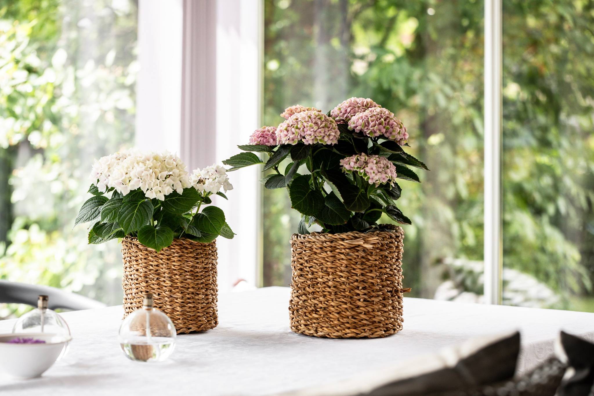 6 rum Villa på Tulpanvägen 5 Flora Ängelholms kommun - bild 22