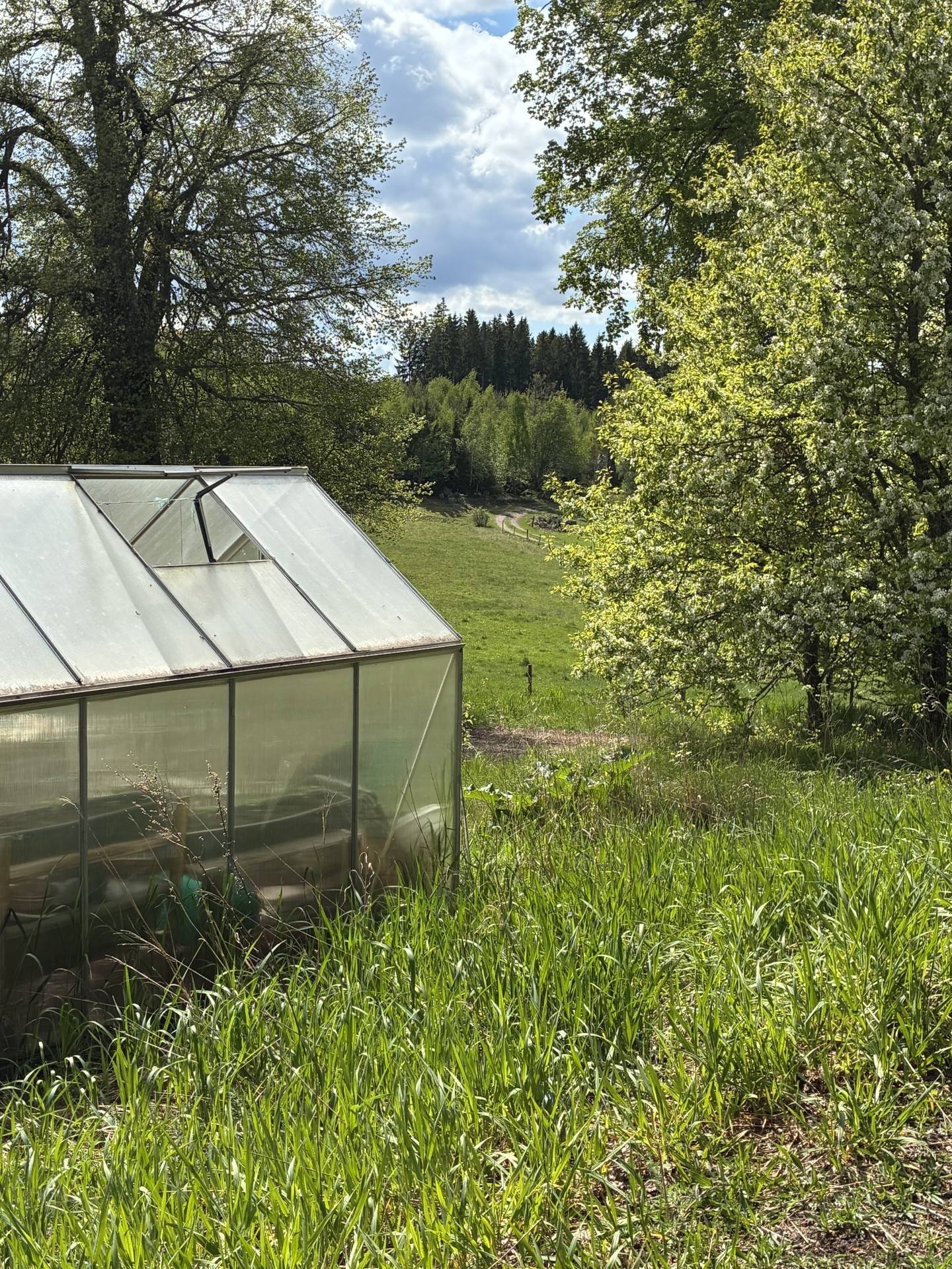 9 rum Villa på Grebo Kattorp Grebo Åtvidabergs kommun - bild 42