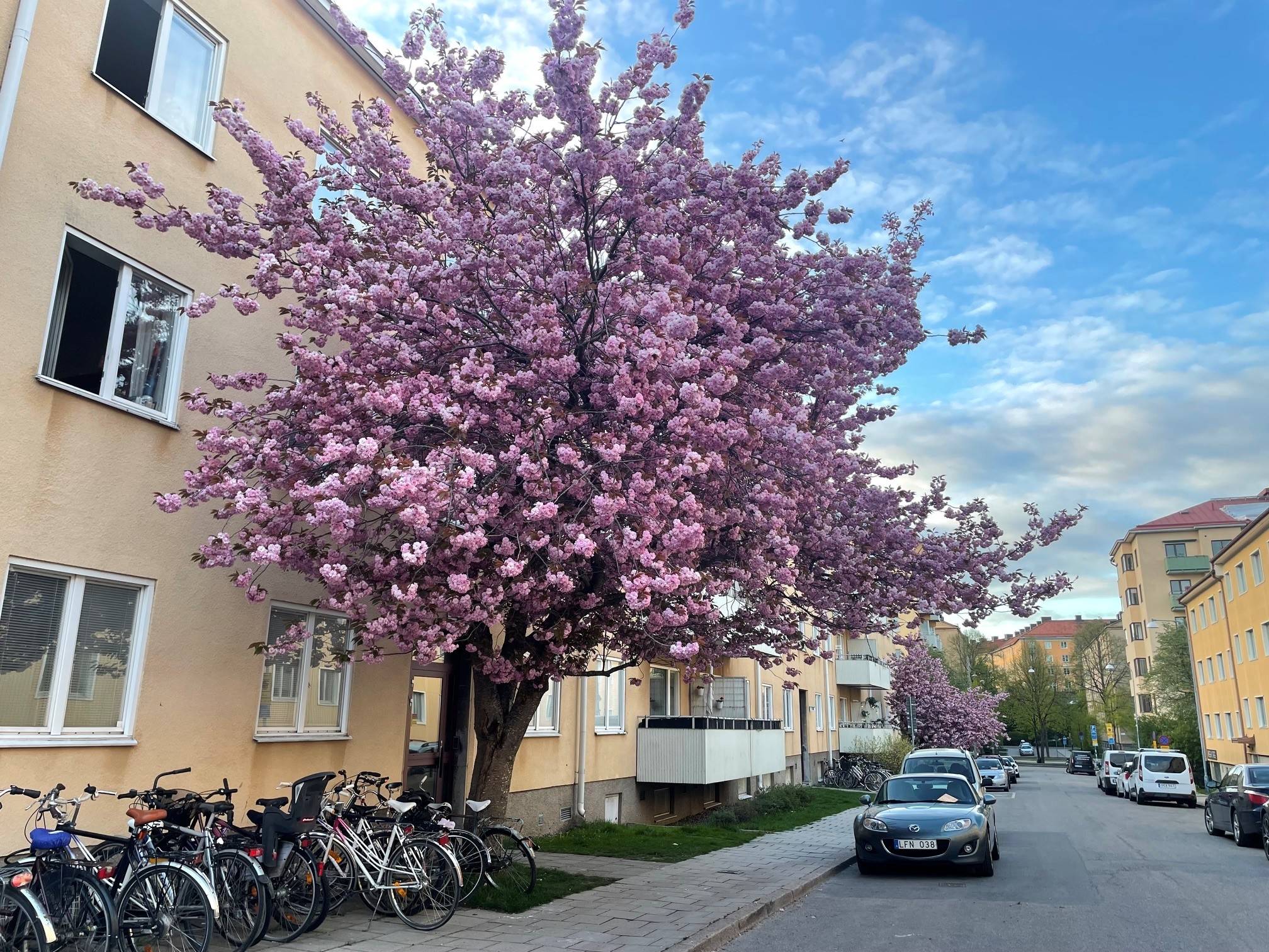 2 rum Lägenhet på Råggatan 12 Södermalm - Skanstull Stockholms kommun - bild 19