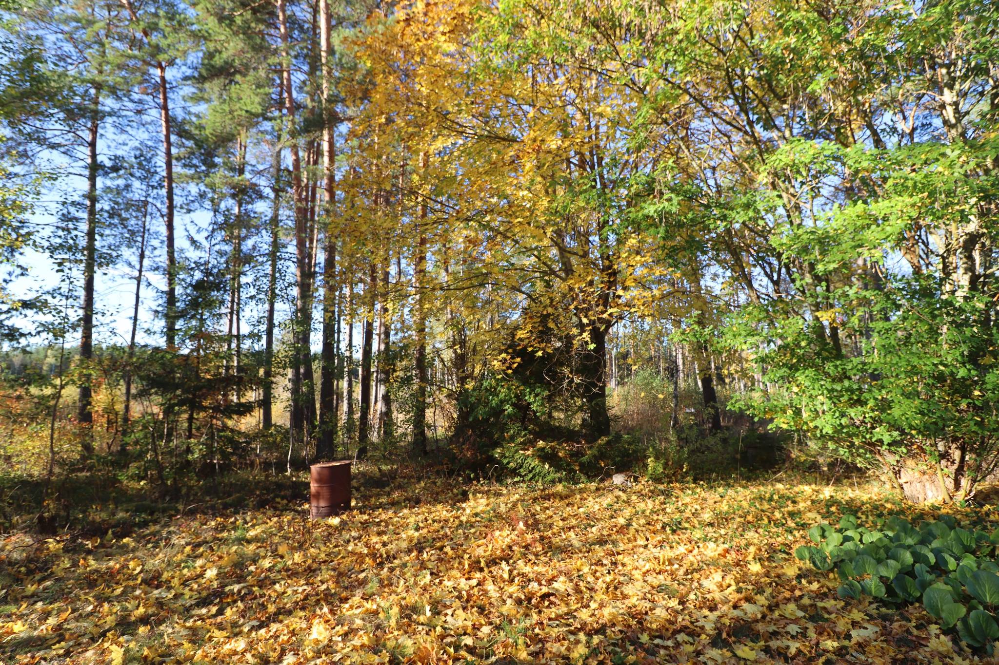 2 rum Gård/skog på Haglundavägen 17 Gottröra - Haglunda Norrtälje kommun - bild 16