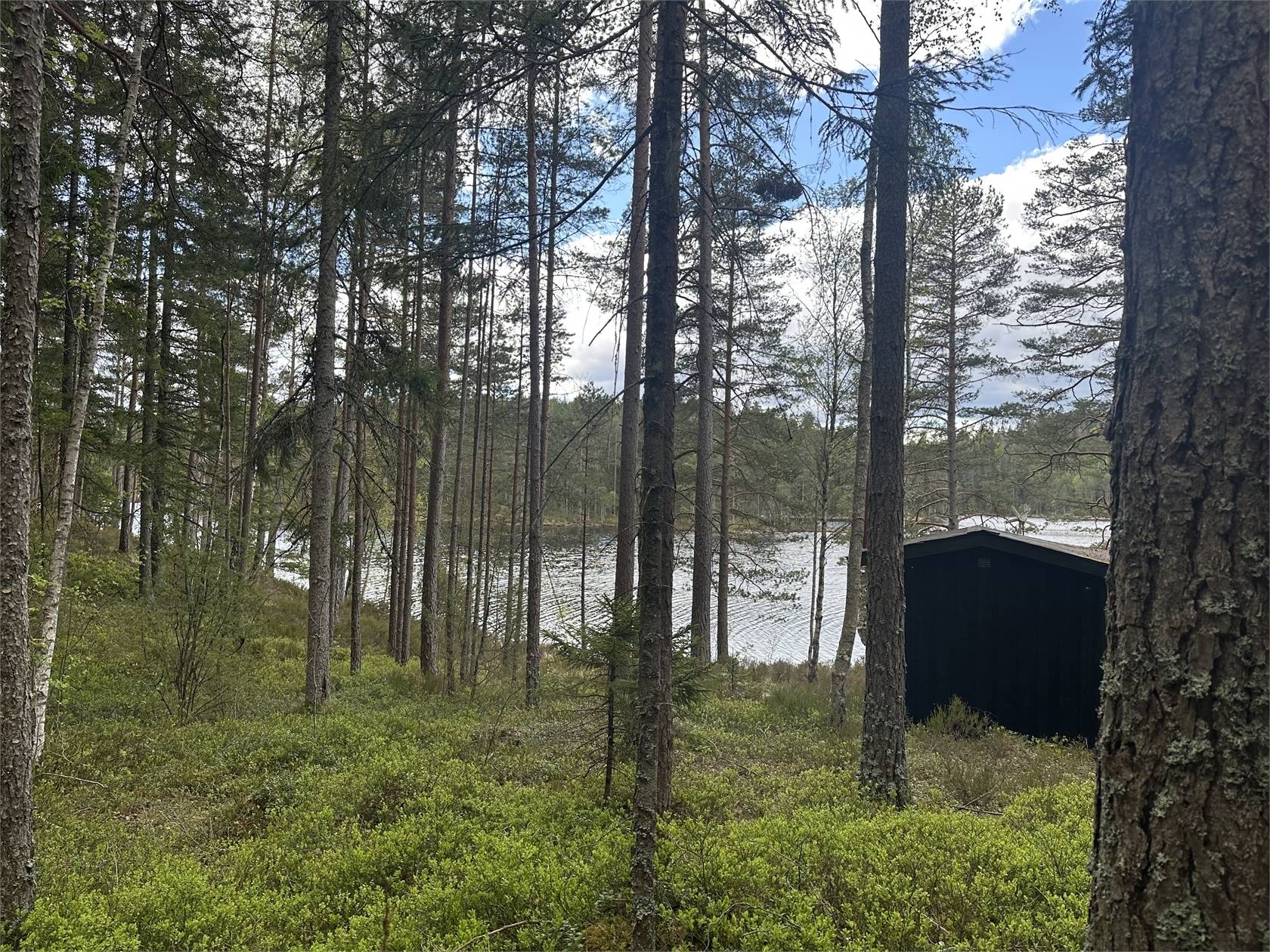 Villa på Mon Krokvattnet 1 o 2 Blomskog Årjängs kommun - bild 28