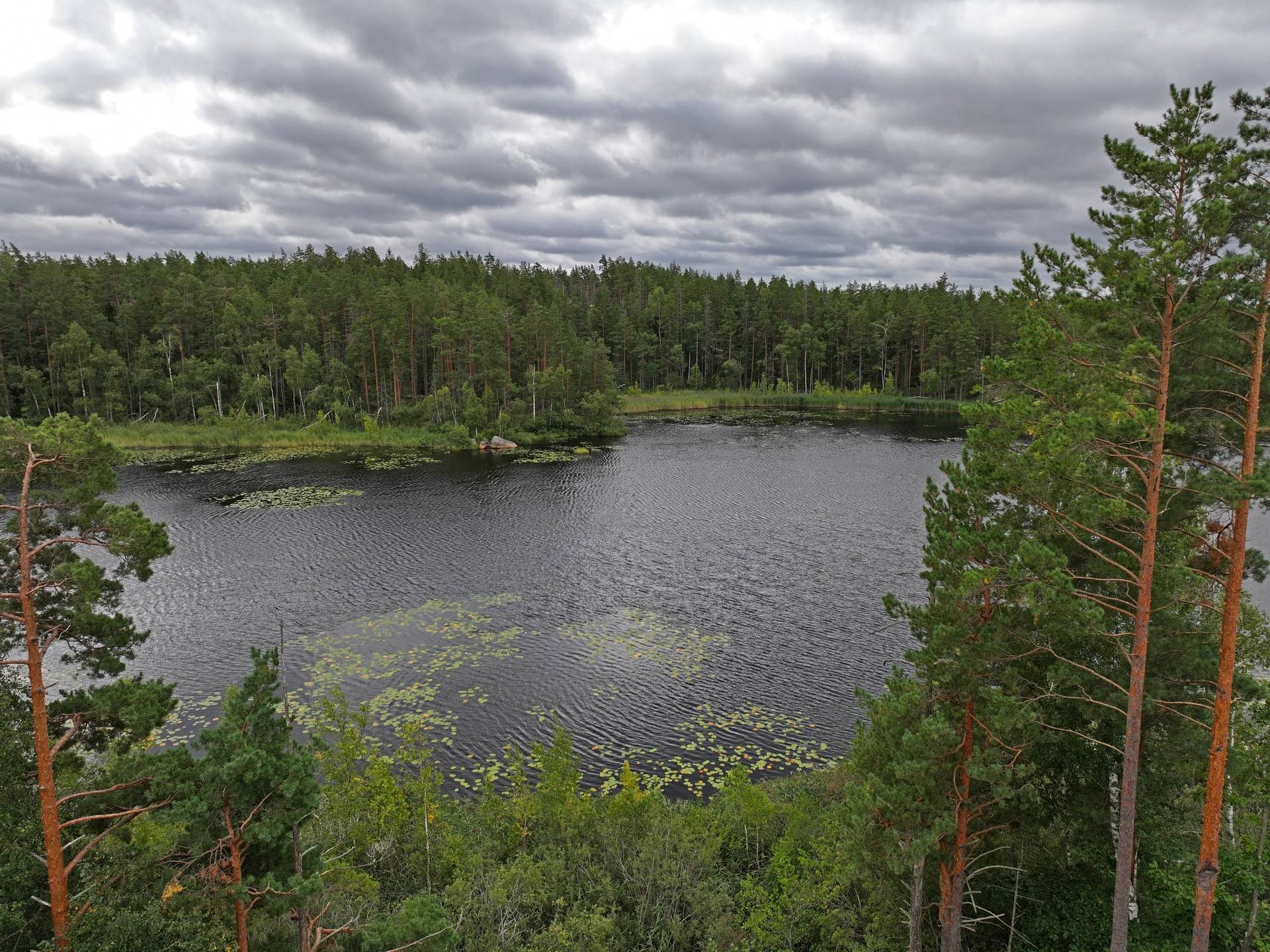 Gård/skog på Fliseryds-Boda Skog AB Mönsterås kommun - bild 1
