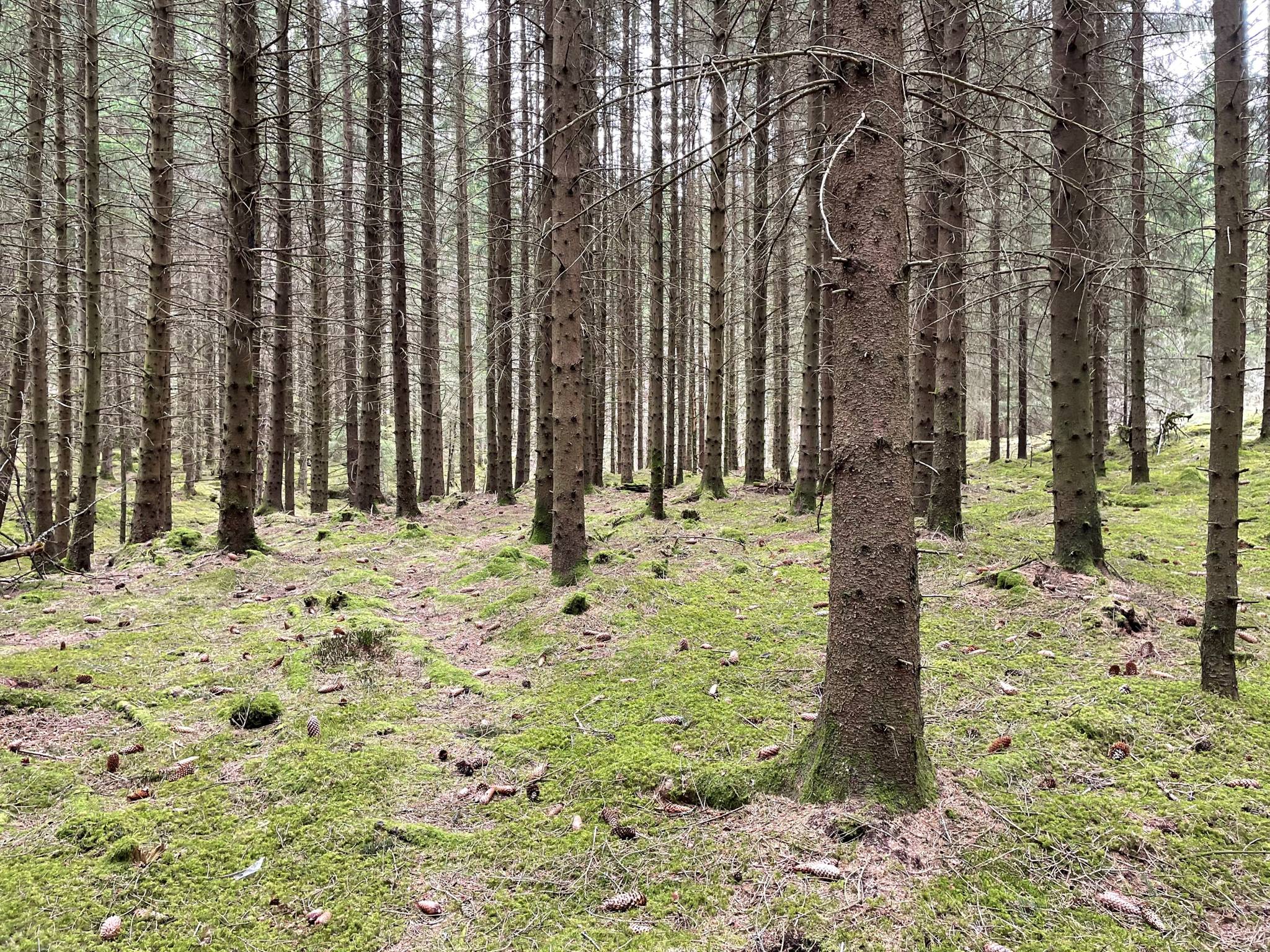 5 rum Gård/skog på Höga Ranagården 2 Fotskäl Marks kommun - bild 5