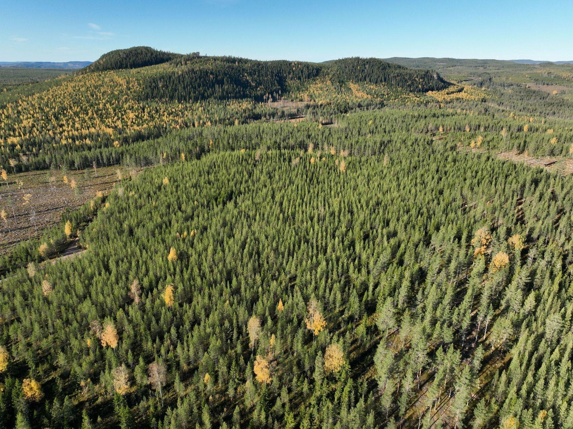 Gård/skog på Hansjö 8:5 Orsa kommun - bild 11