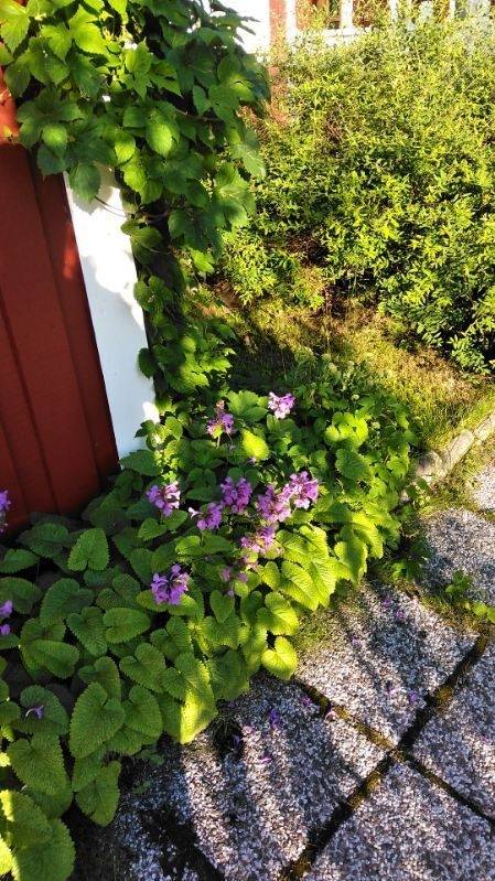 5 rum Villa på Midsommarvägen 46 Björkskatan Luleå kommun - bild 26