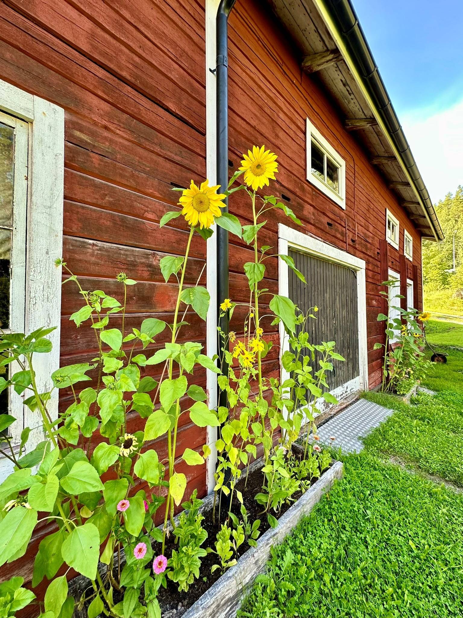 6 rum Gård/skog på Fränstavägen 211 Fränsta Ånge kommun - bild 41